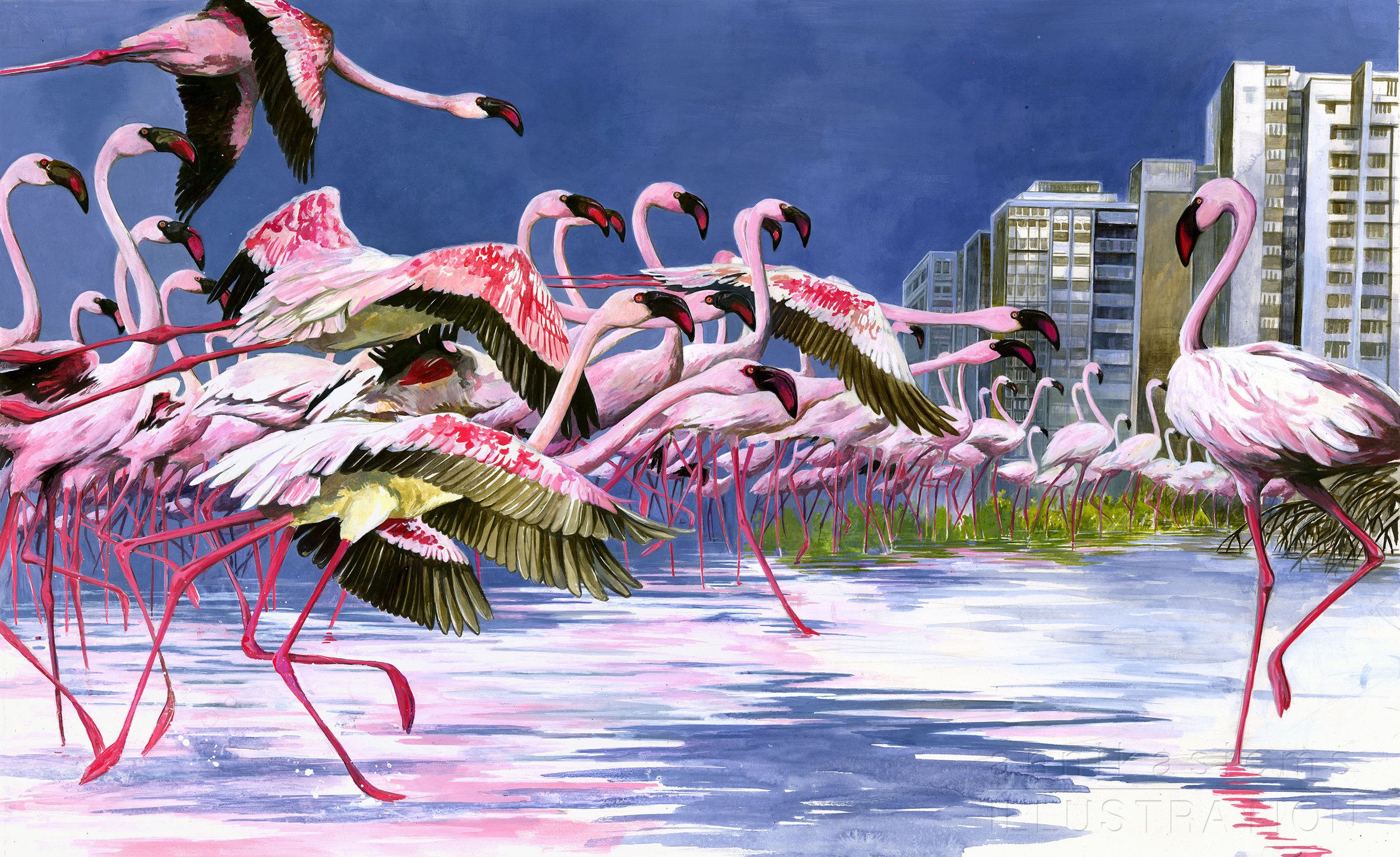 Flamingo-AnnikaSiems_Minedition.jpg