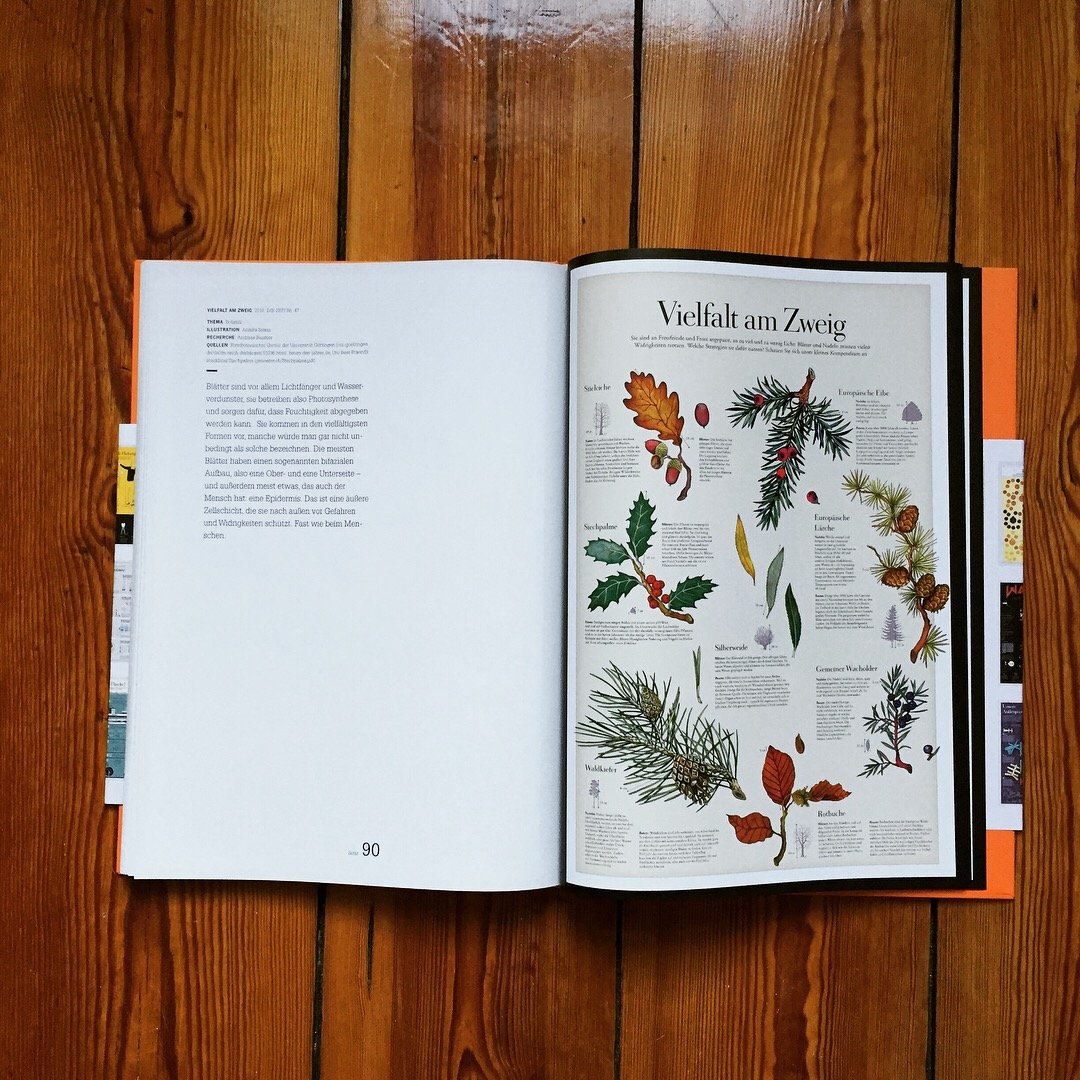 Die ZEIT - Wissen in Bildern