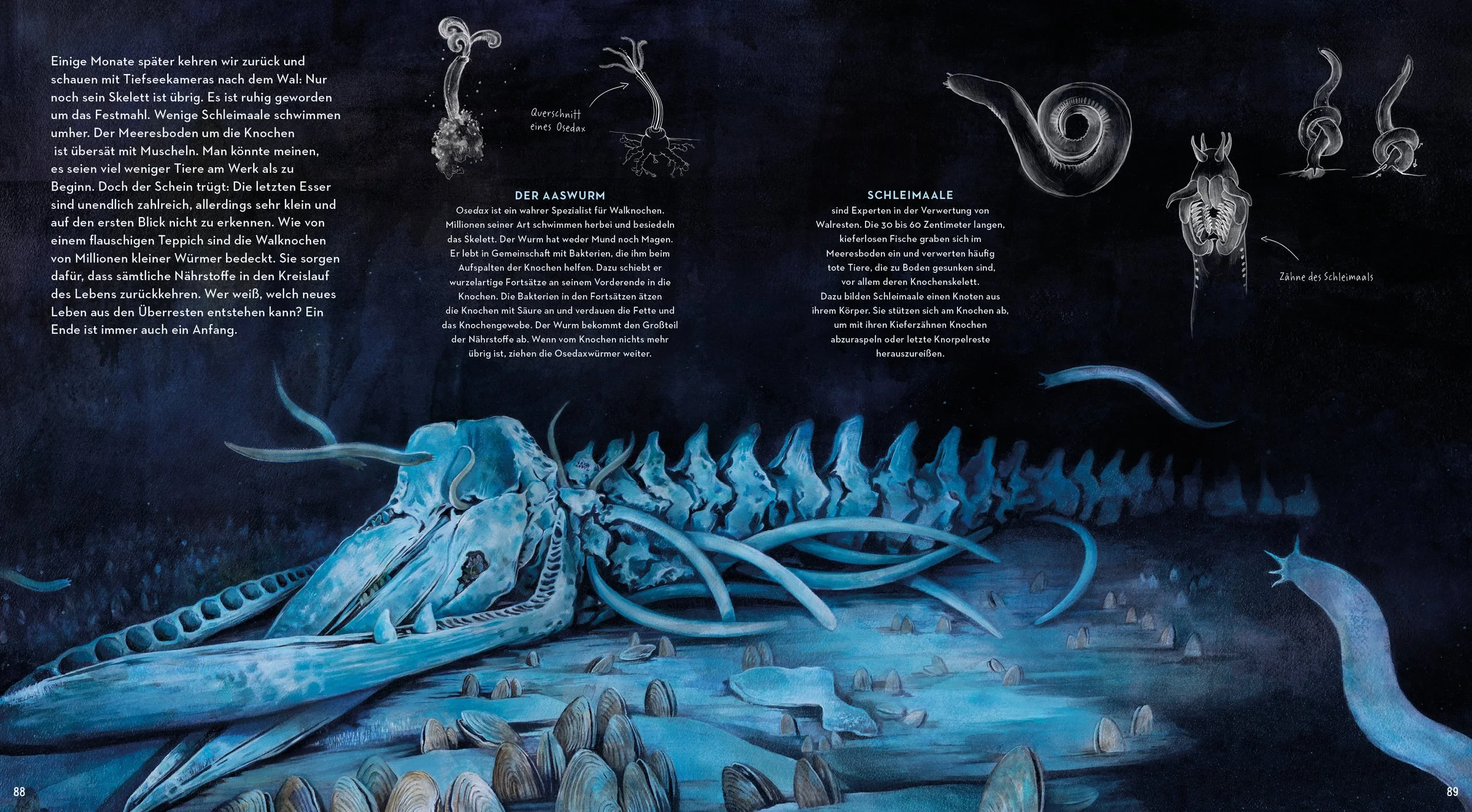 DeadWhale_Zombieworms_OceanFloor_AnnikaSiemsillustration