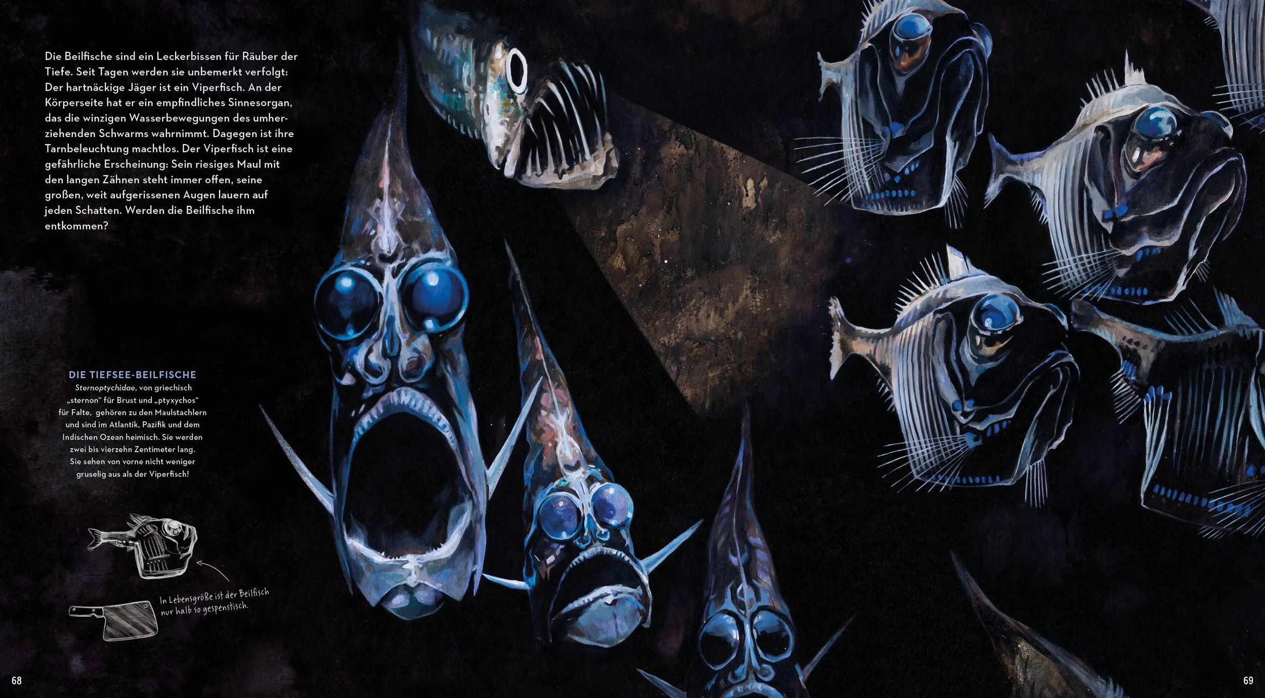 Deep sea Hatchetfish AnnikaSiemsIllustration