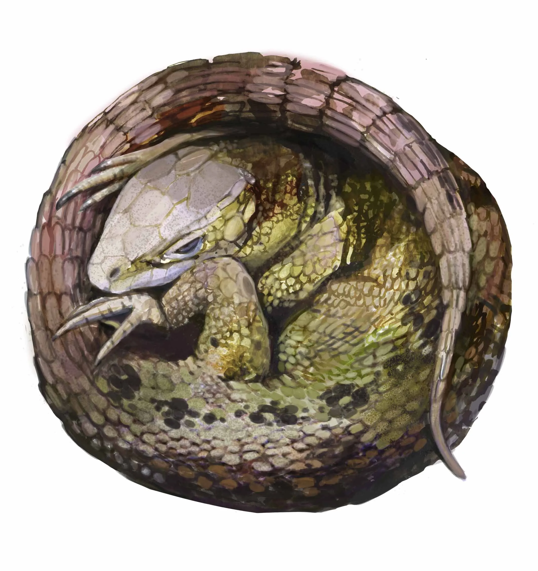 EIdechse WinterschlF .jpg