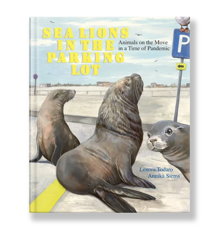 Sea Lions in the Parking Lot