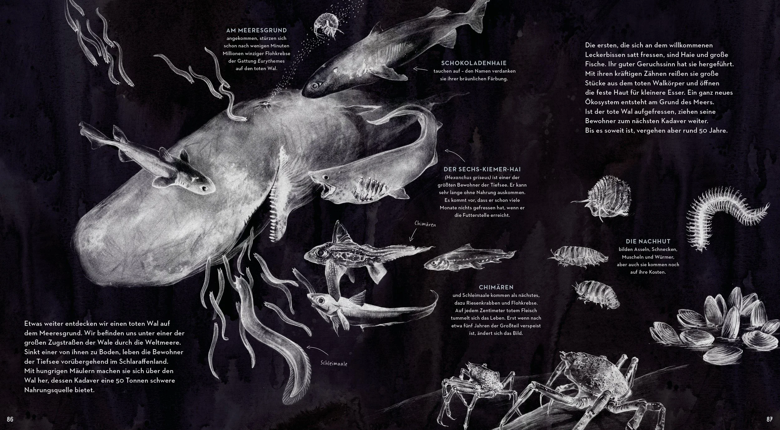 dead whale, land of milk and honey