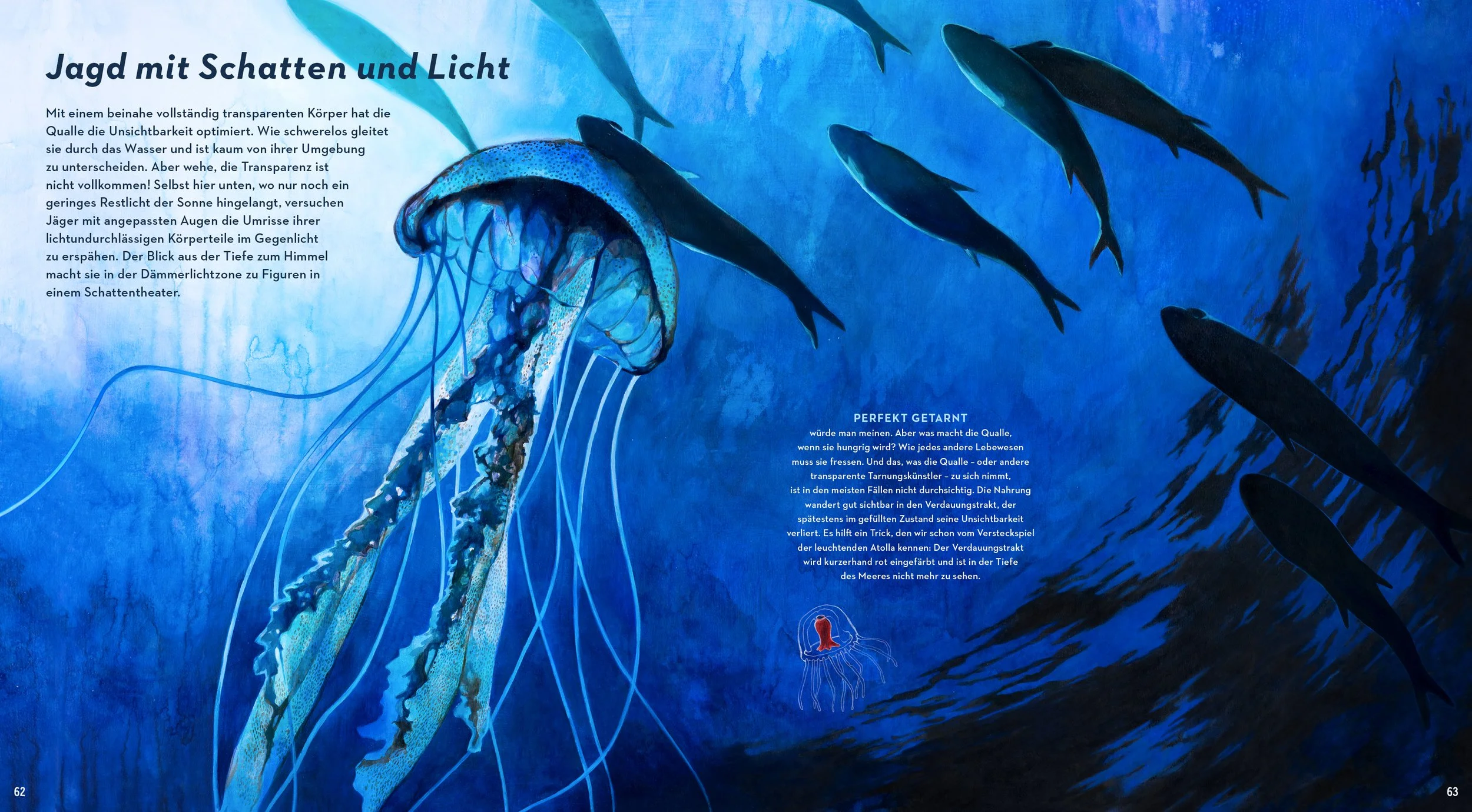 Transparency_Twilightzoe_DeepSea-AnnikaSiemsIllustration