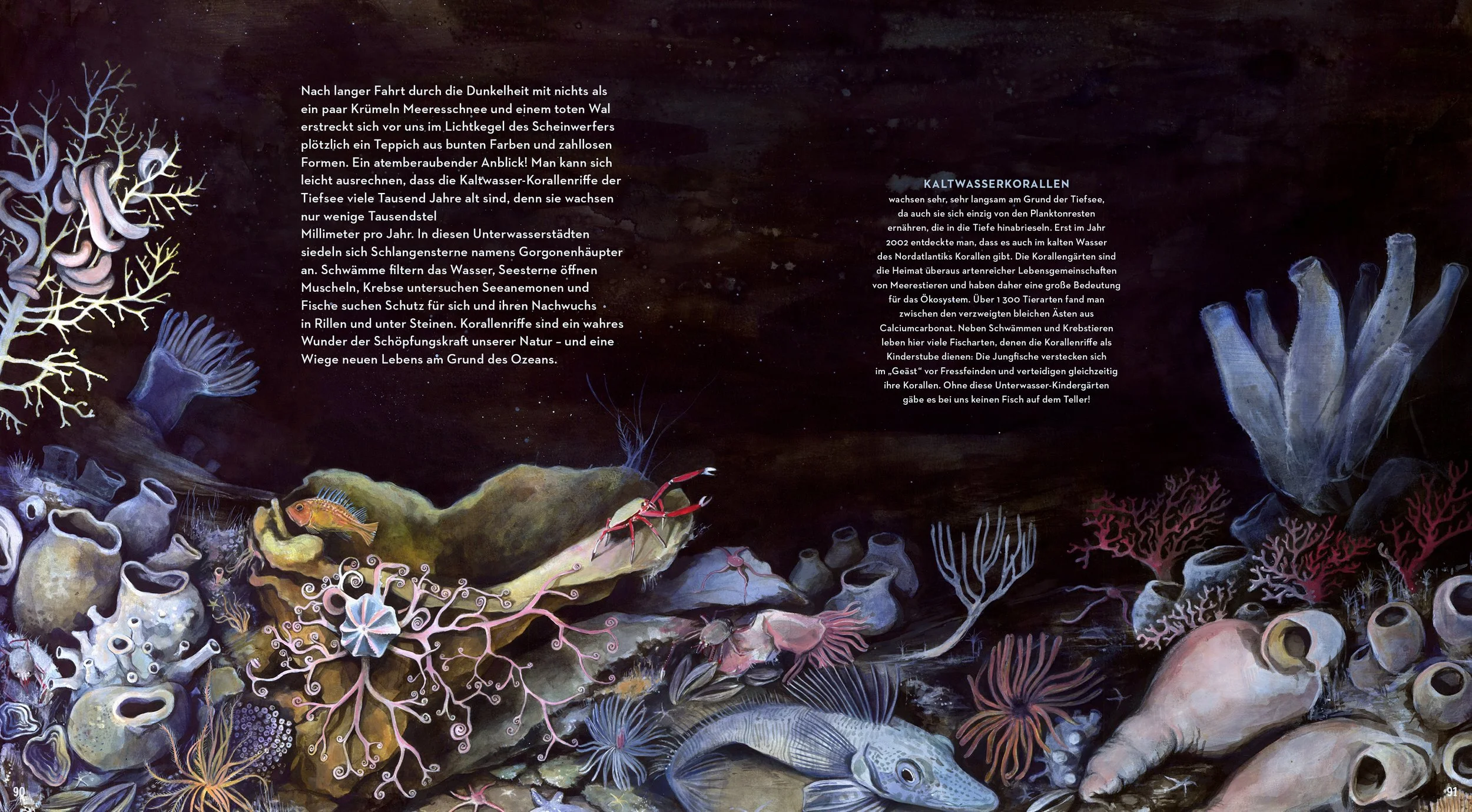 Corals_ColdWater_DeepSea_AnnikaSiemsIllustration