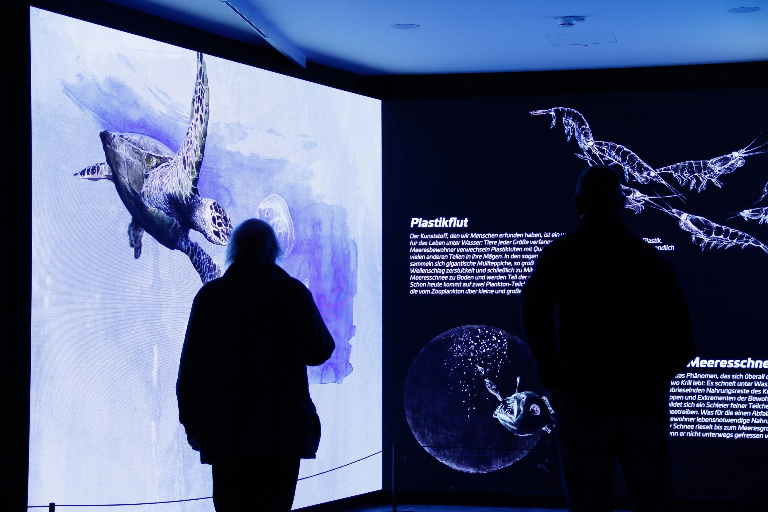 German Ocean Foundation