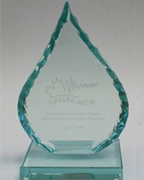 caslpa_award.png
