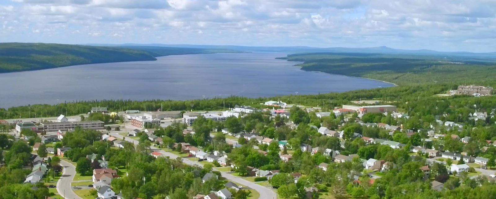 Gander-NL-header.jpeg
