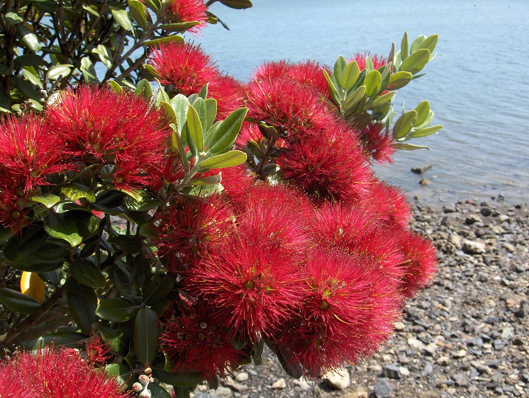 Contact Us landing page image.jpg