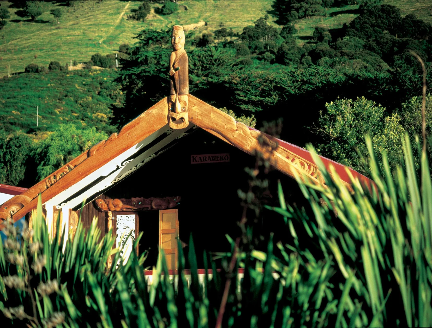 Unique Maori Cultural Experiences