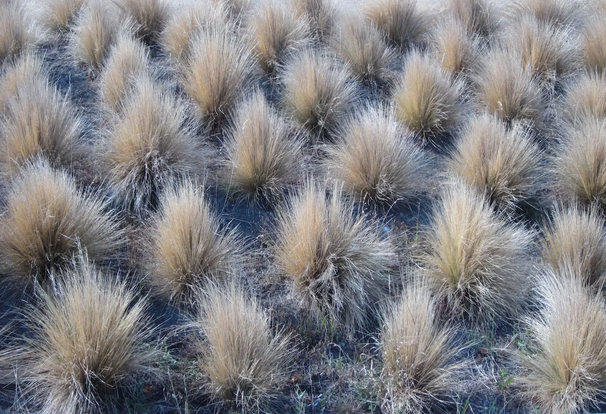 Travel Industy Special Interest.jpg