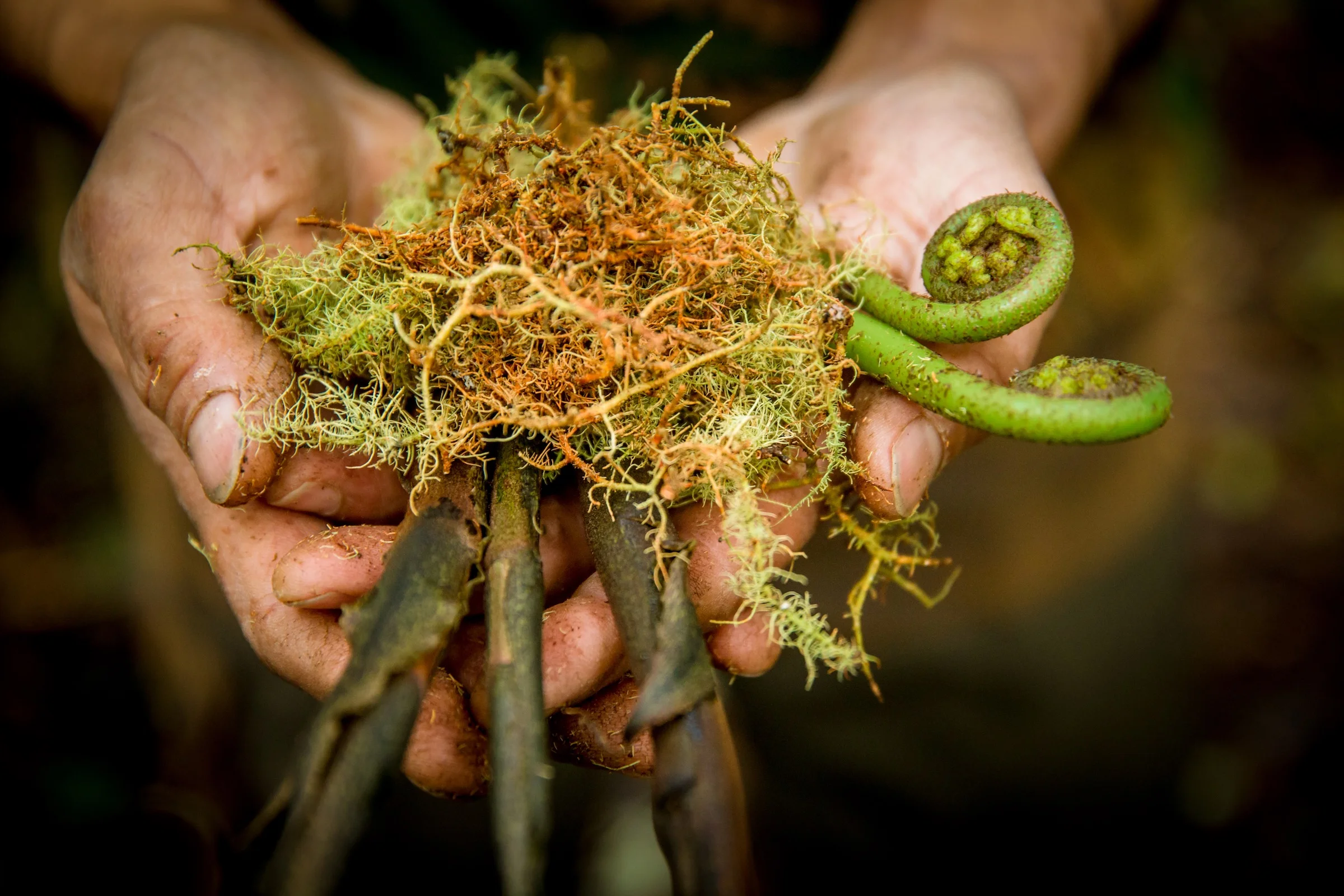 New Our services page web.jpg