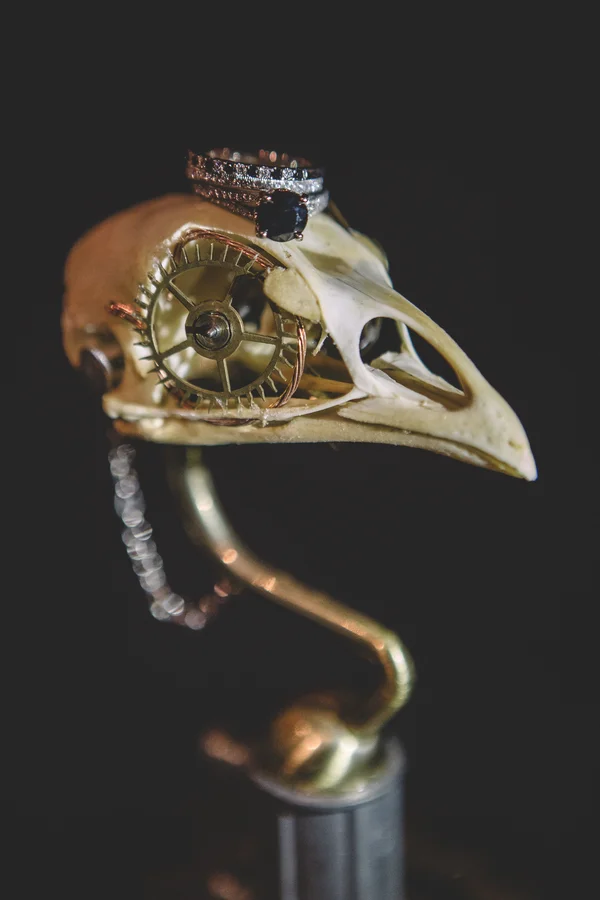 Harriman_Vickers_XSIGHTProductions_543xDanaJohnXSiGHTWedding_low.jpg