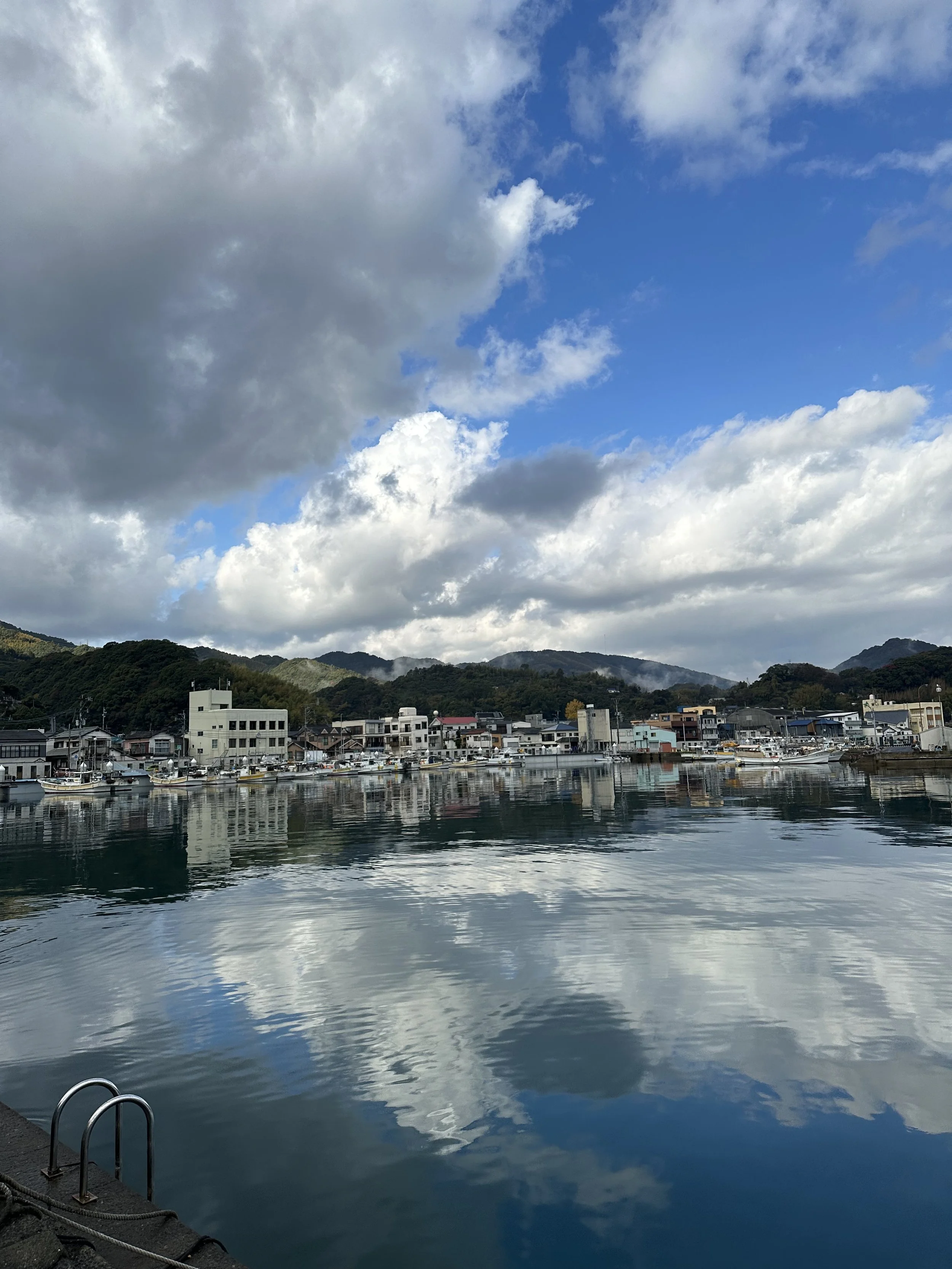 lake with houses in the background