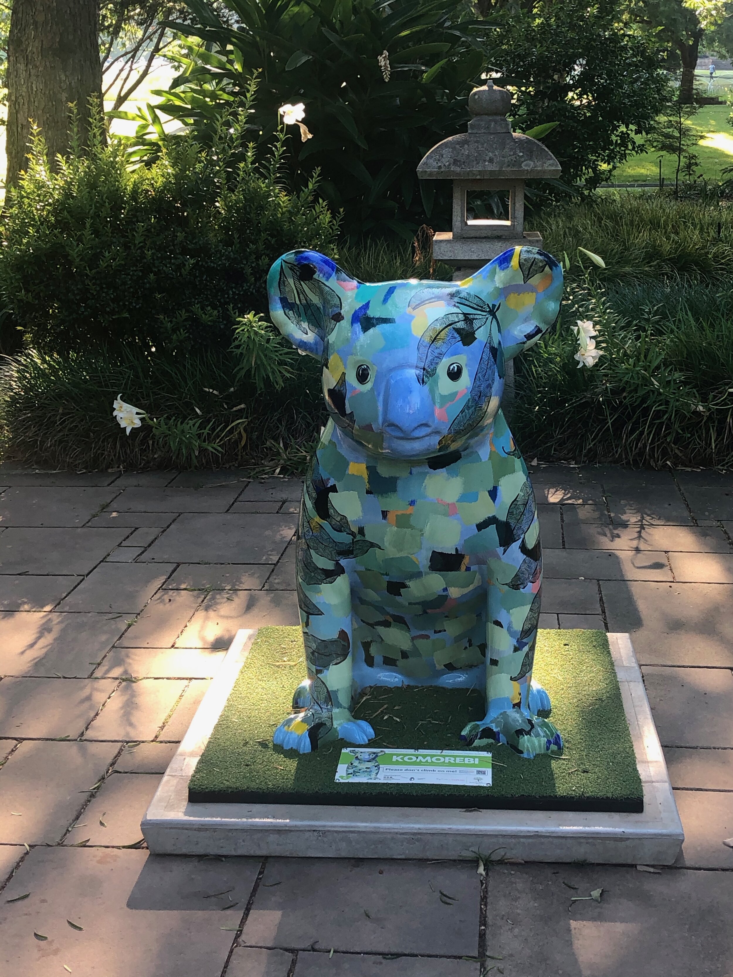 Royal Botanic Gardens koalas