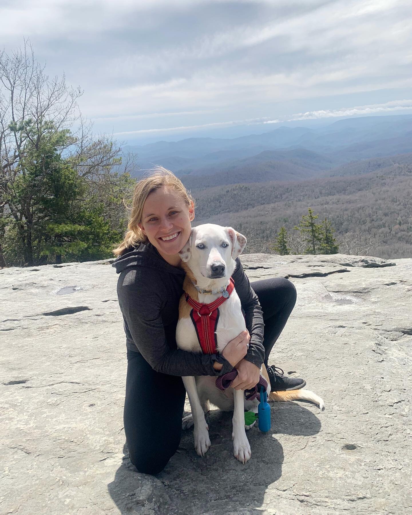 @barnegatbailey is too cool for me 🥰
&bull;
&bull;
&bull;
#helicoptermom #dogparents #travelwithdogs #travelnc #grandfathermountain