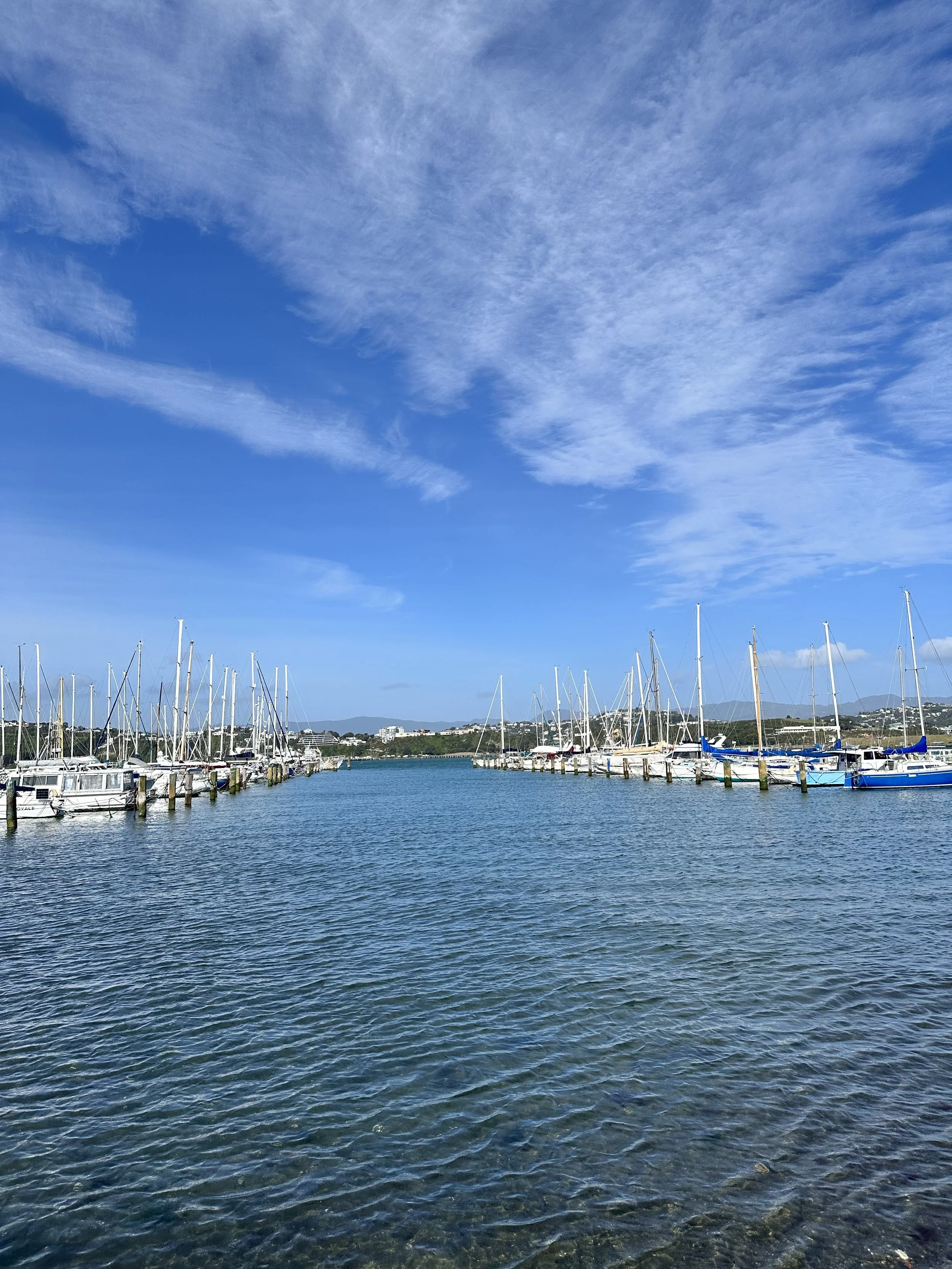 New Zealand Road Trip: A Weekend in Wellington