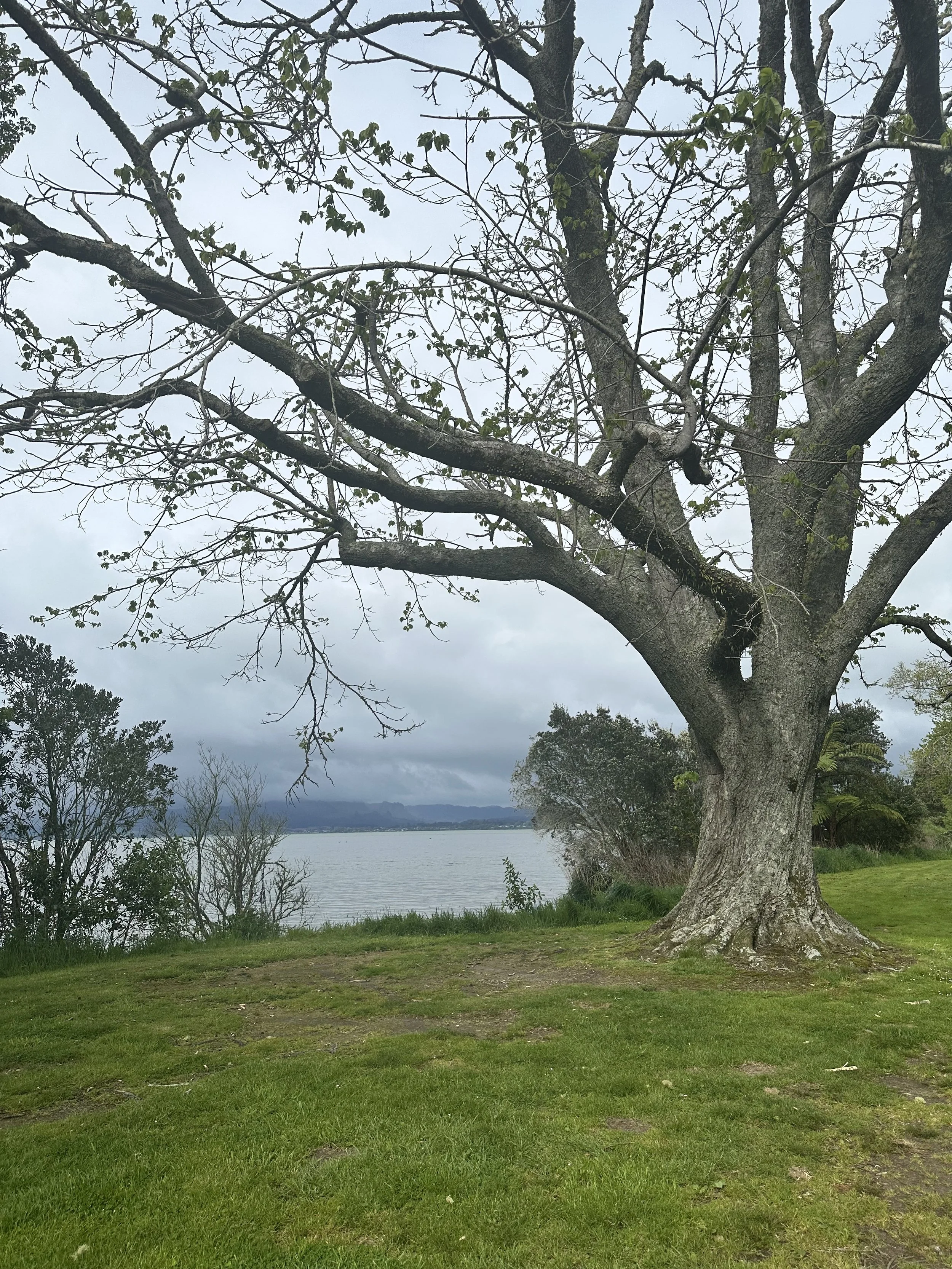 New Zealand Road Trip: Rotorua and Mount Maunganui
