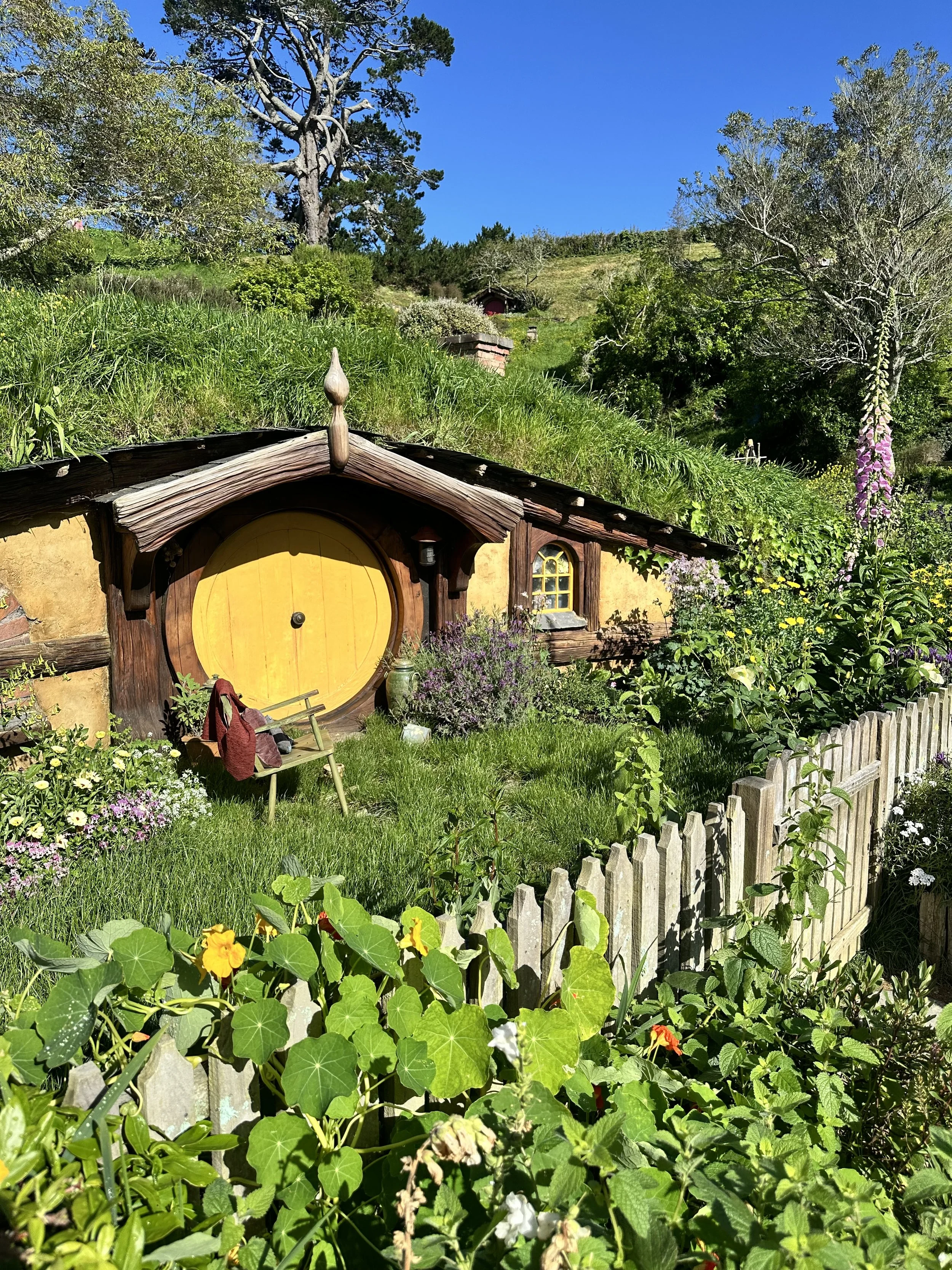 New Zealand Road Trip: Hobbiton