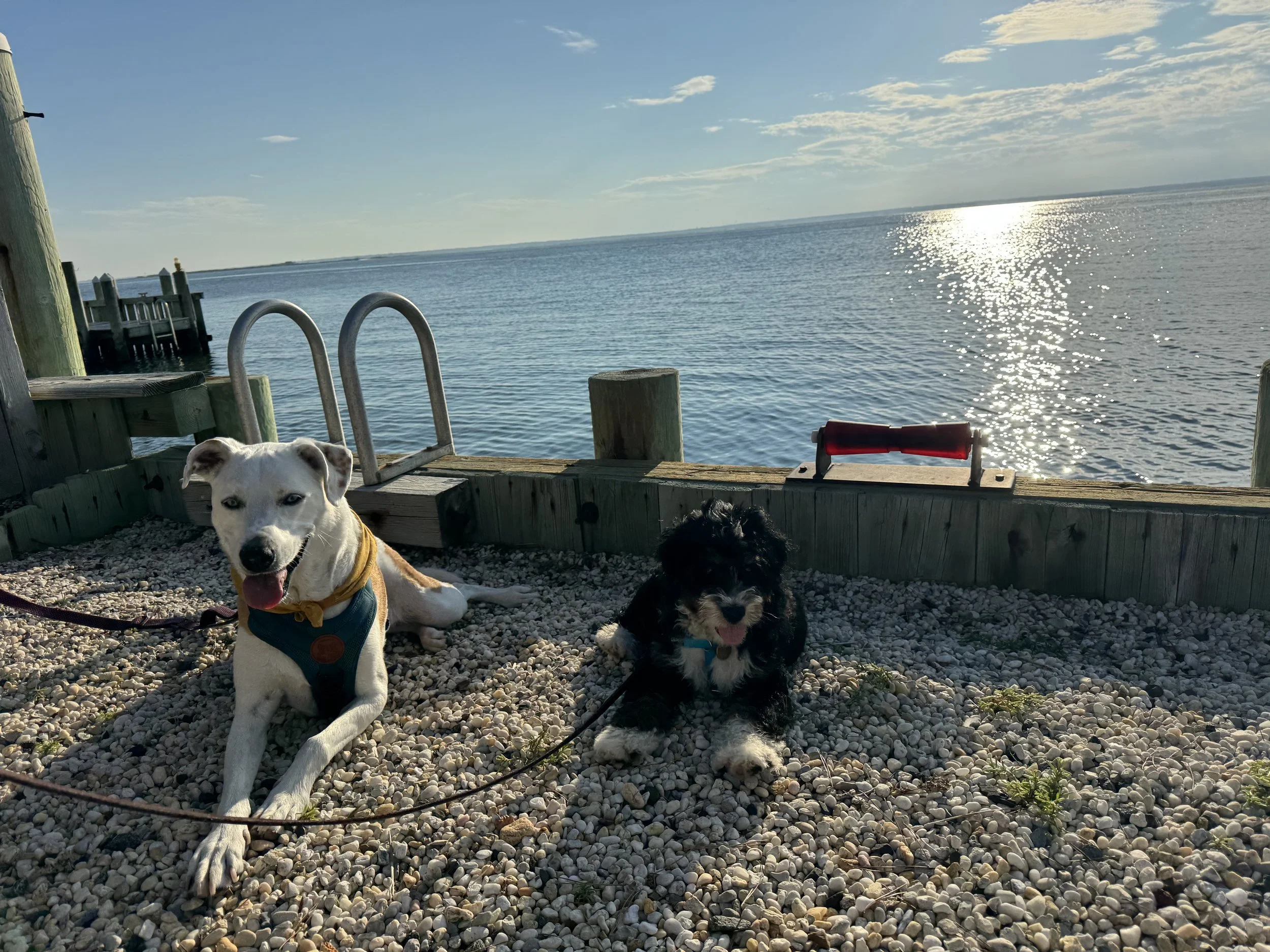 Stopping Home: LBI &amp; Red Bank