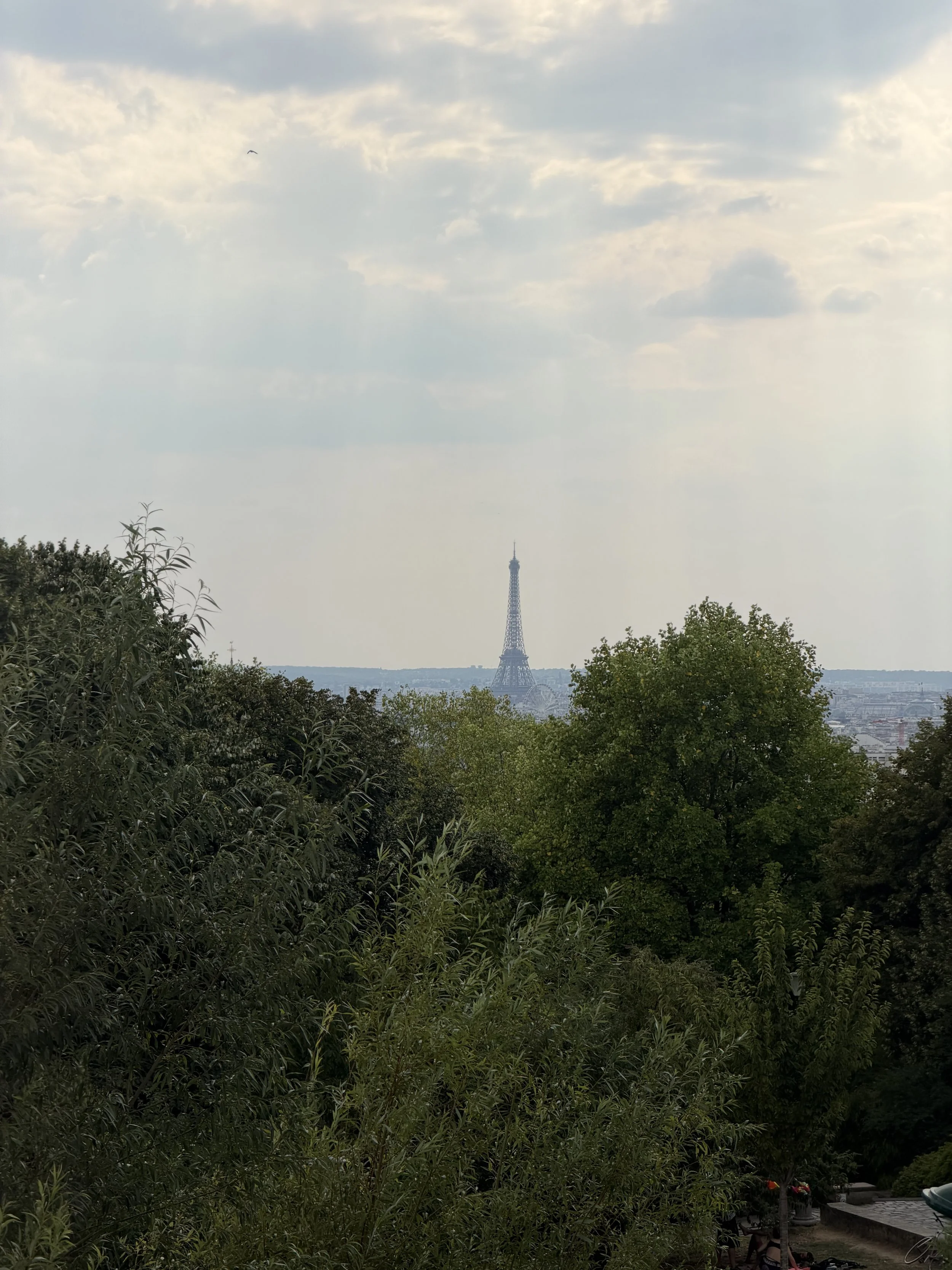 IMG_4256.jpeg