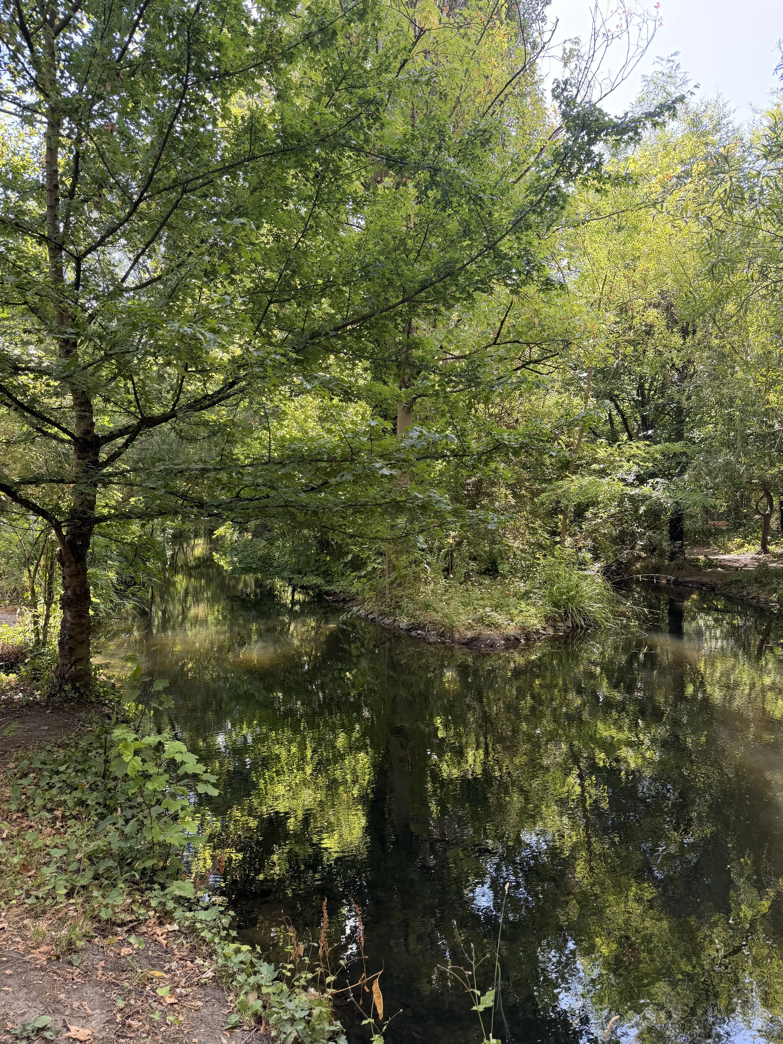 IMG_4528.jpeg