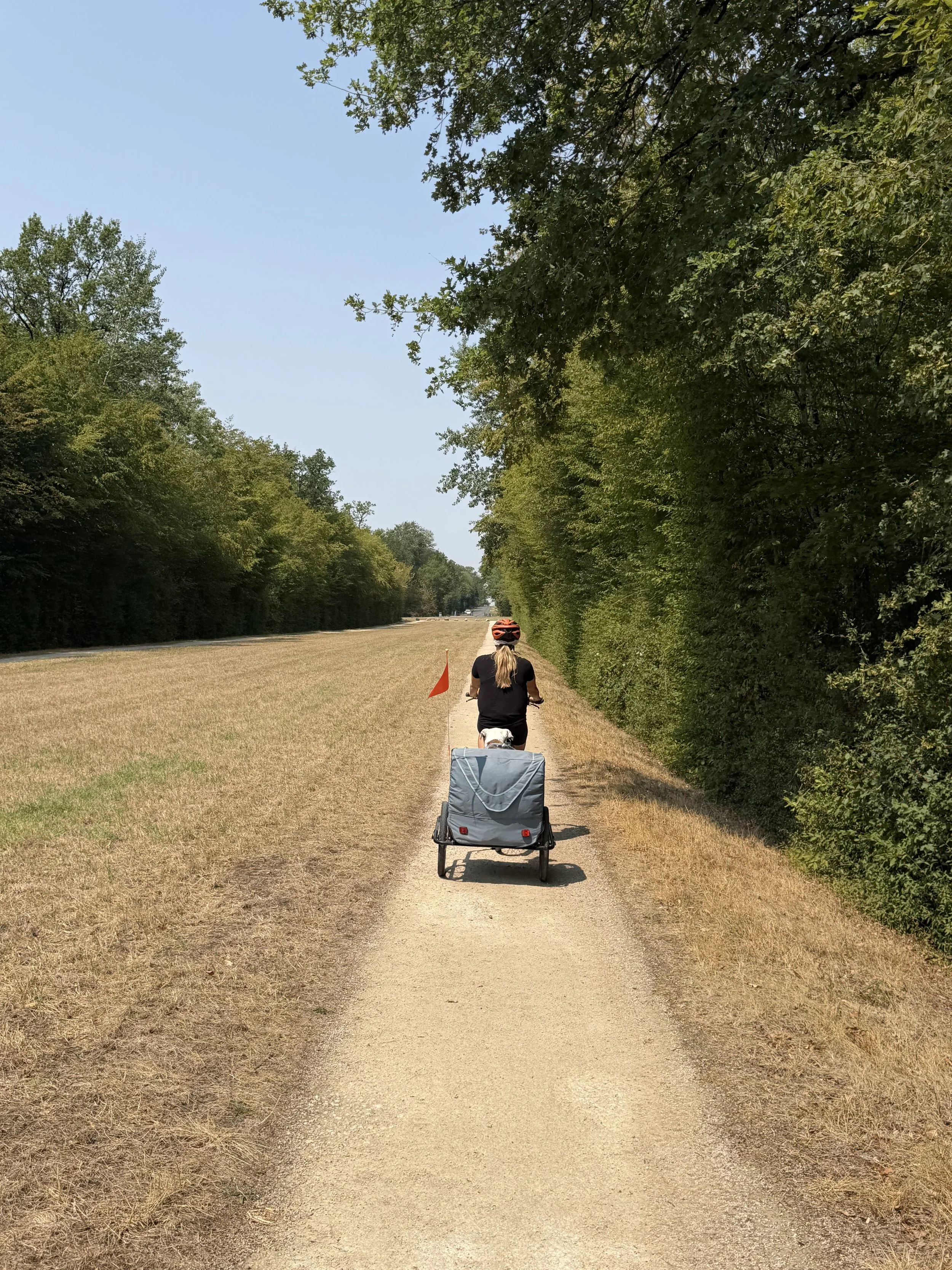 IMG_4145.jpeg
