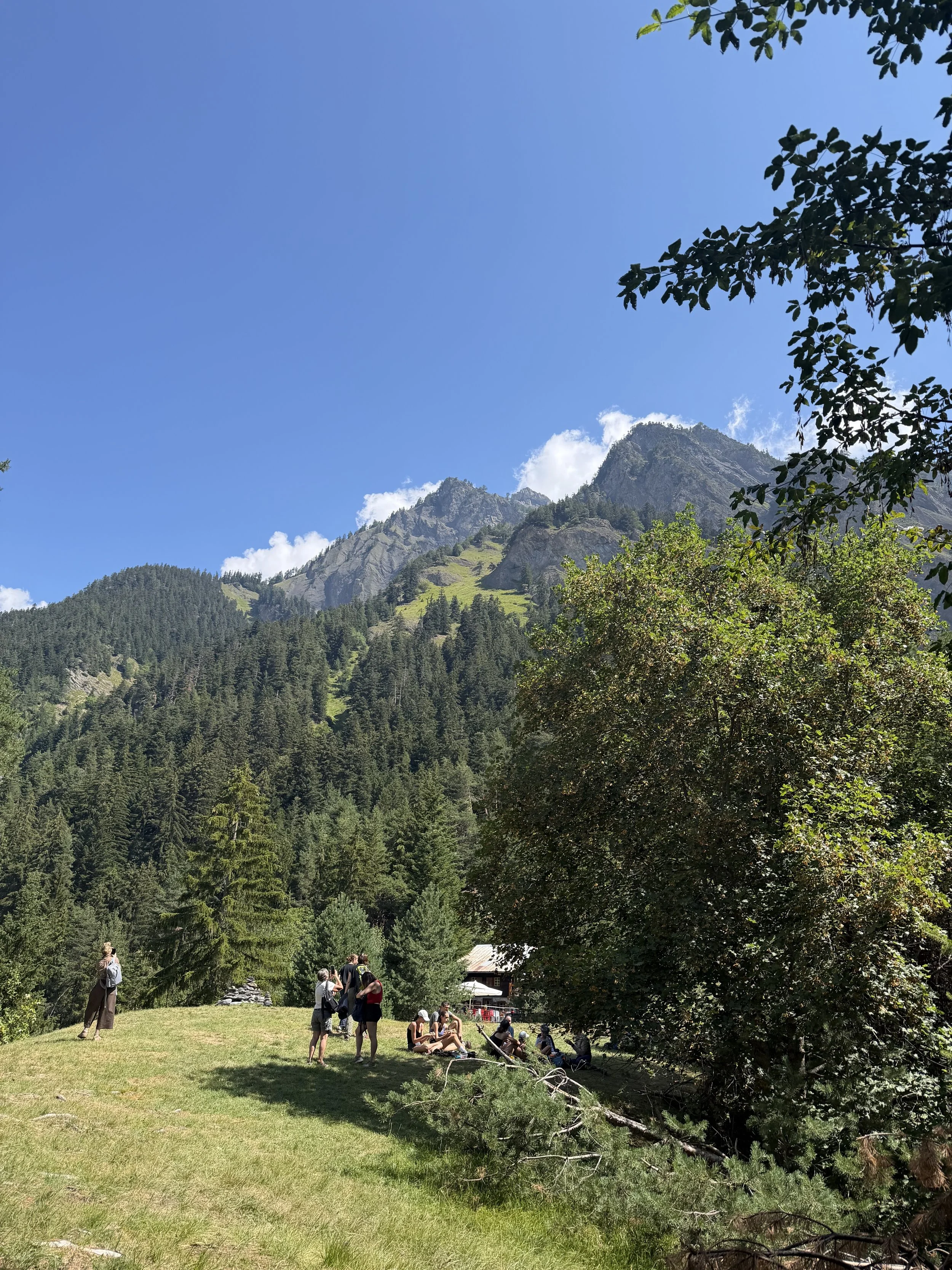 IMG_4771.jpeg
