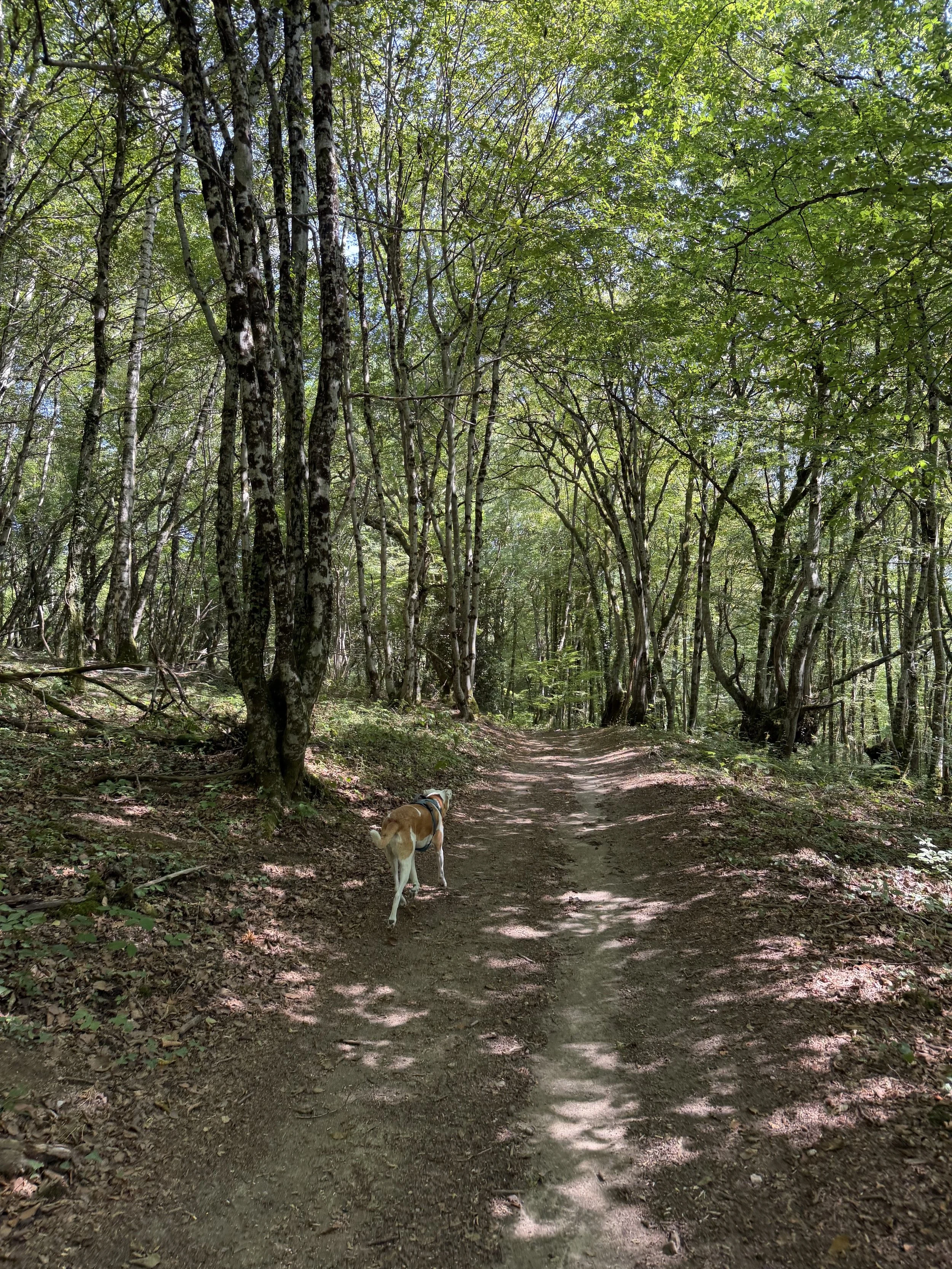 Hiking in Morvan France