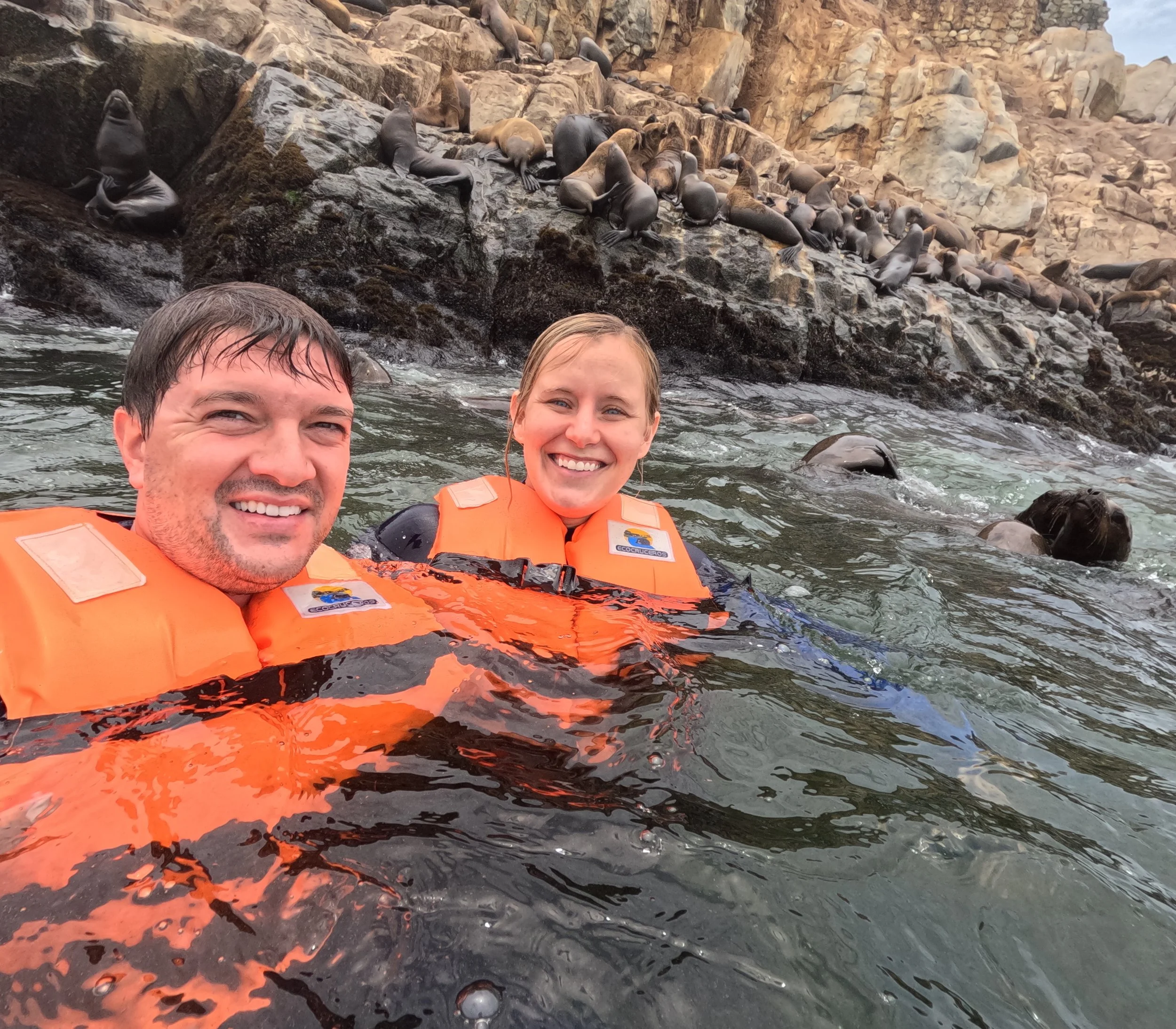Swimming with sea lions