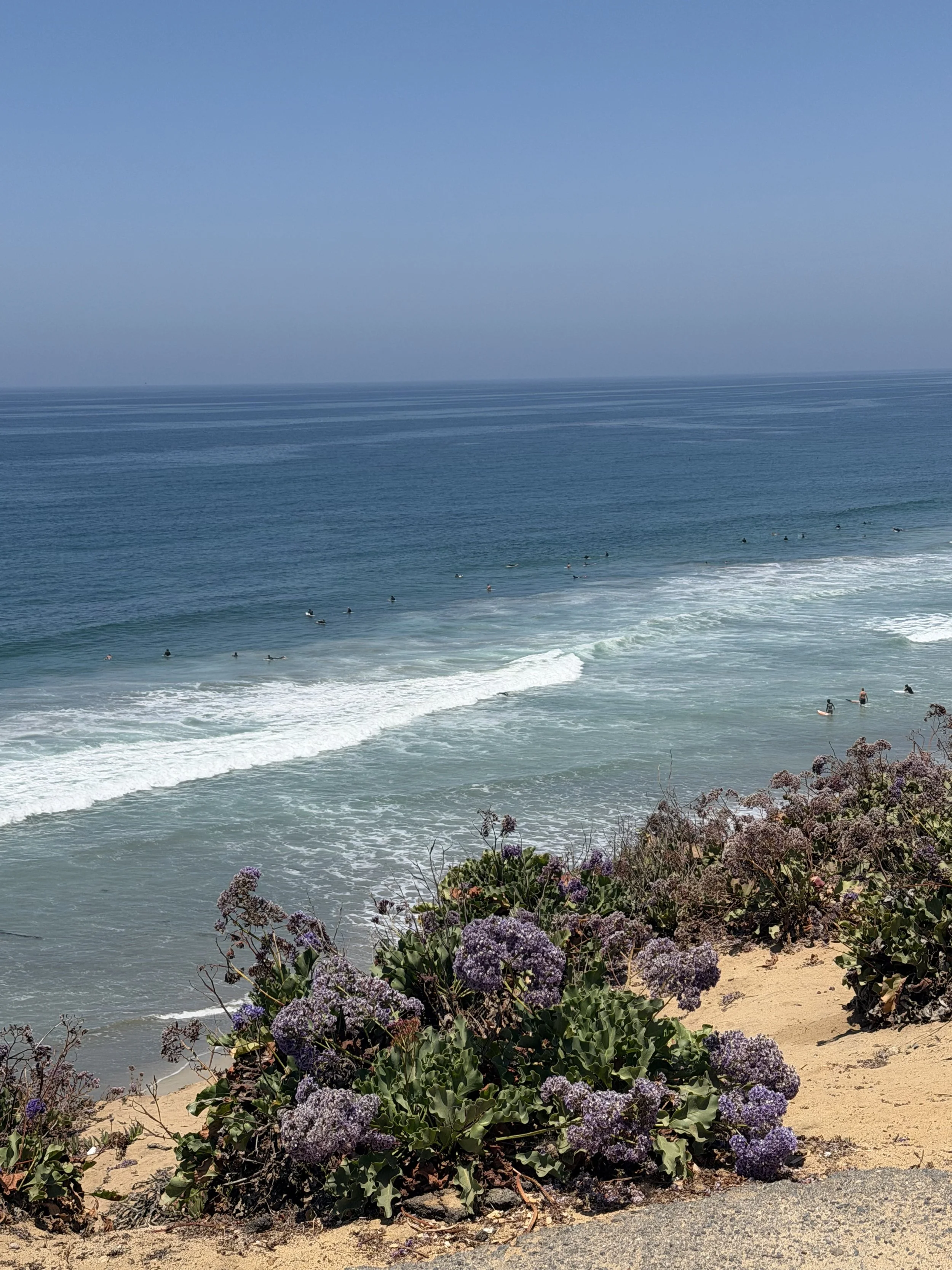 Surfers in Encinitas CA