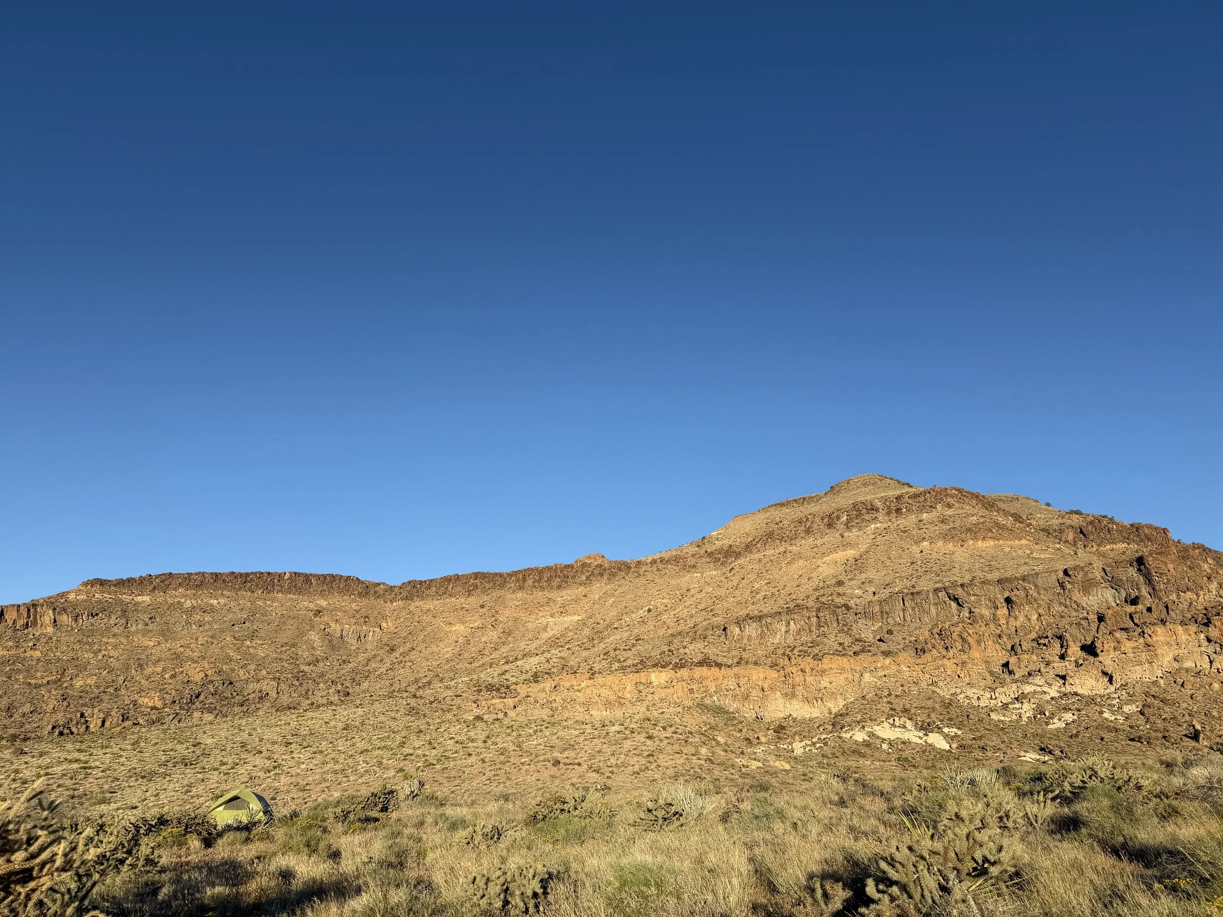 Camping in Mojave National Preserve