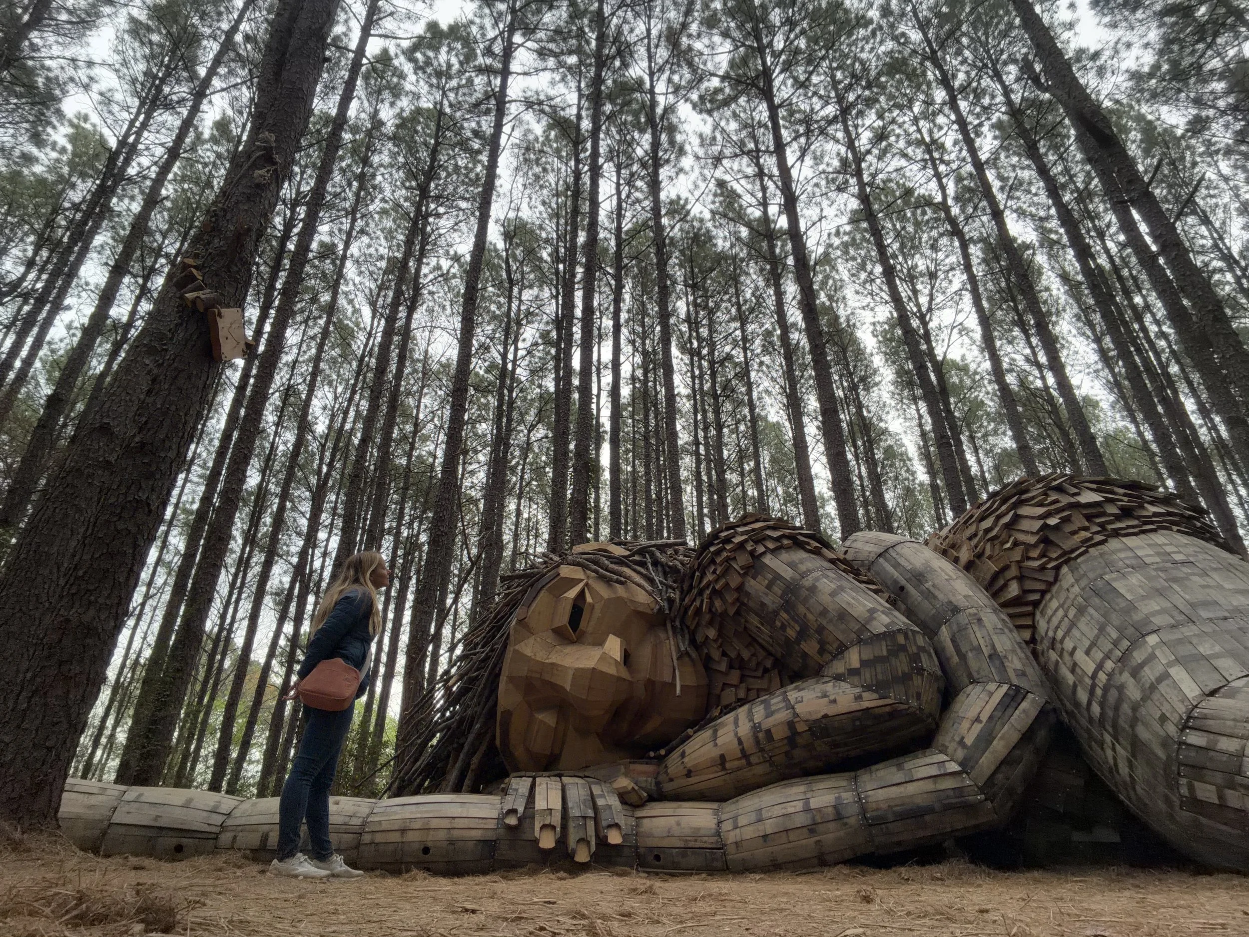 Thomas Dambo troll Raleigh NC