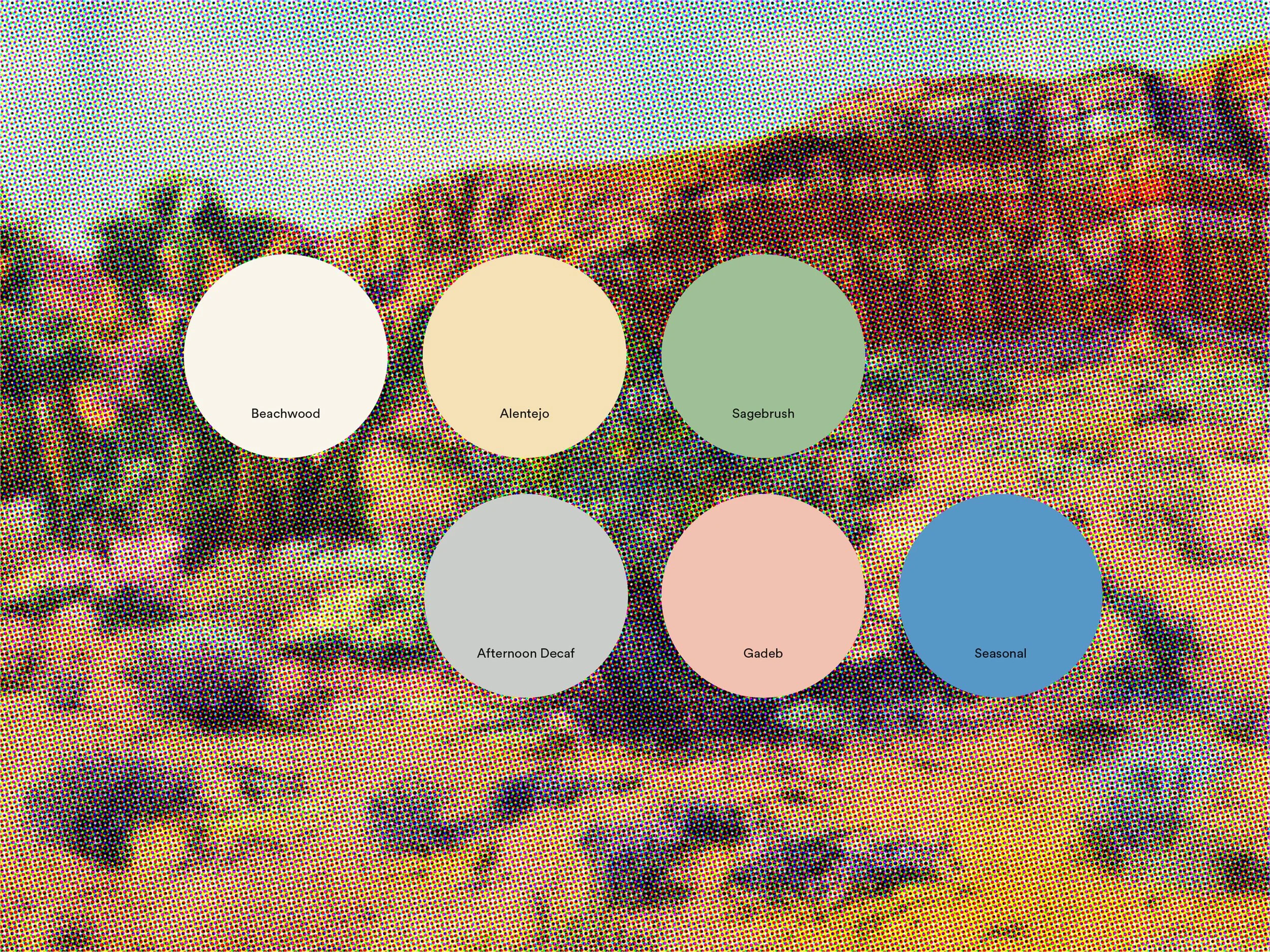 CC_Awards_2023_Palette.jpg