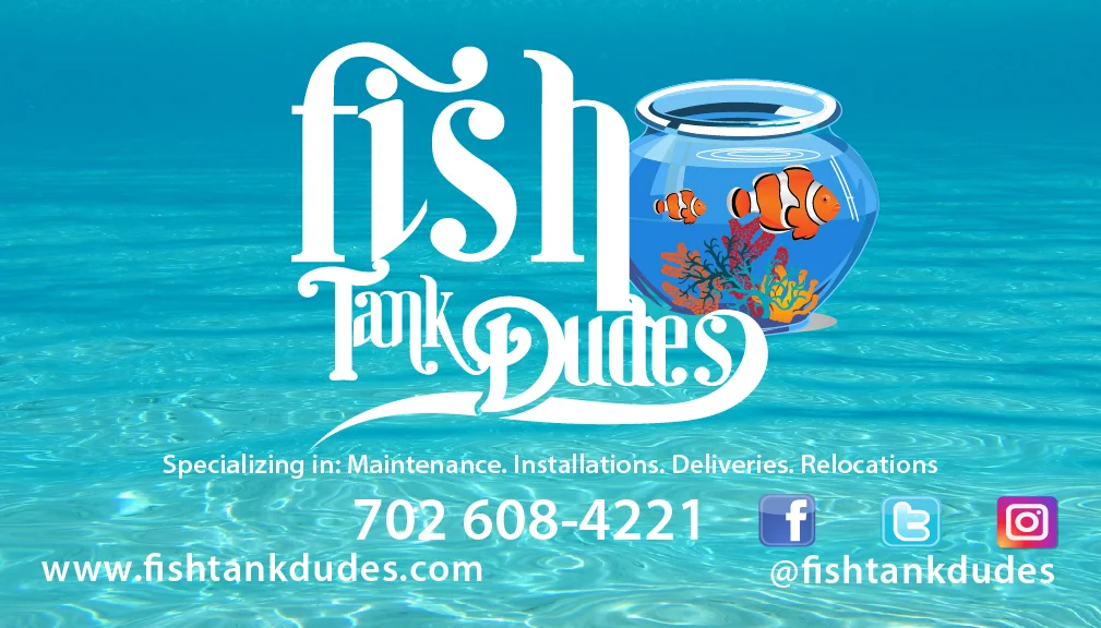 fish card-FRONT@4x-100.jpg