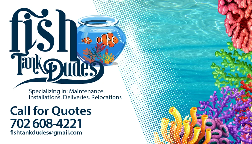fish card-REAR OFFICE@4x-100.jpg