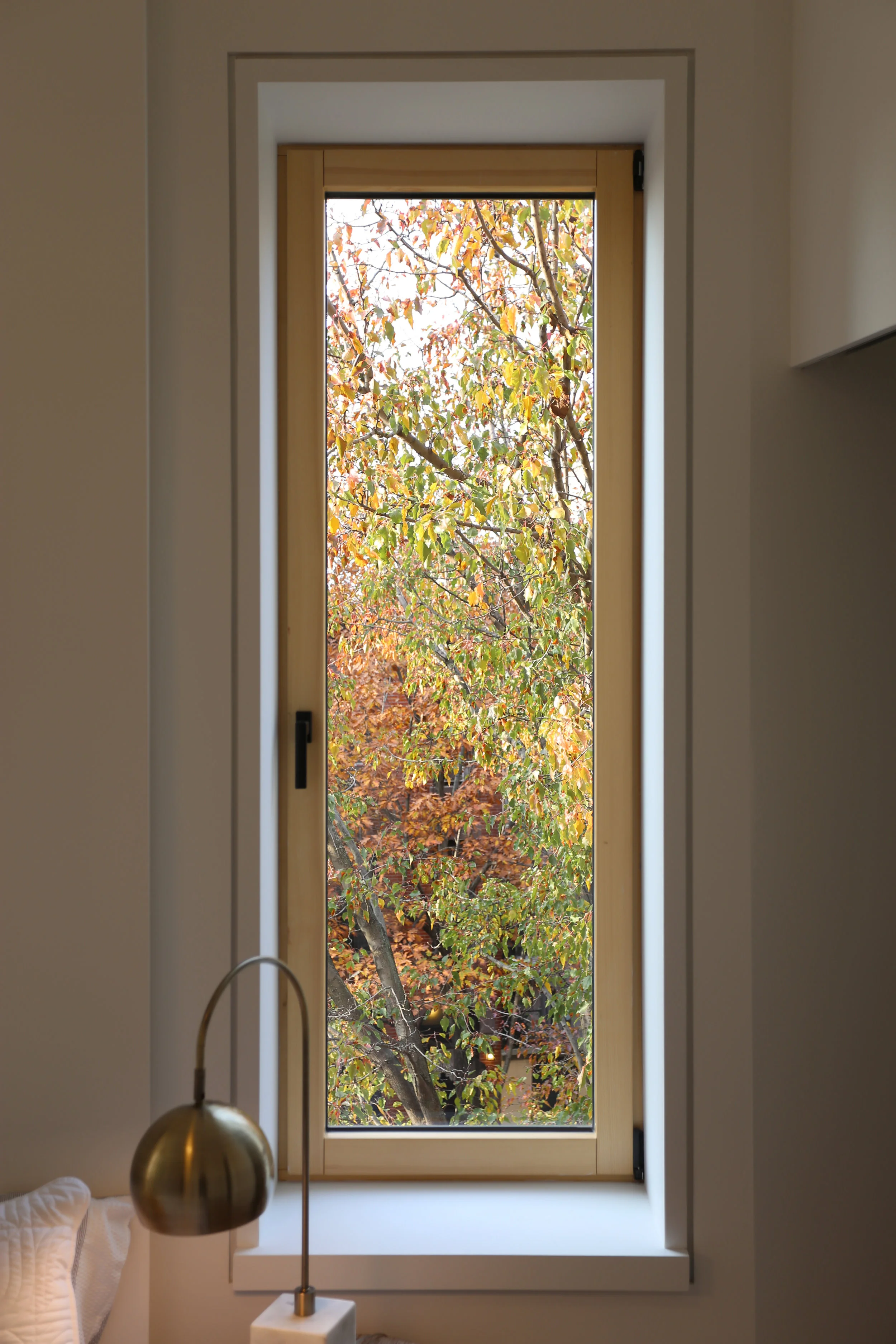 window962.jpg