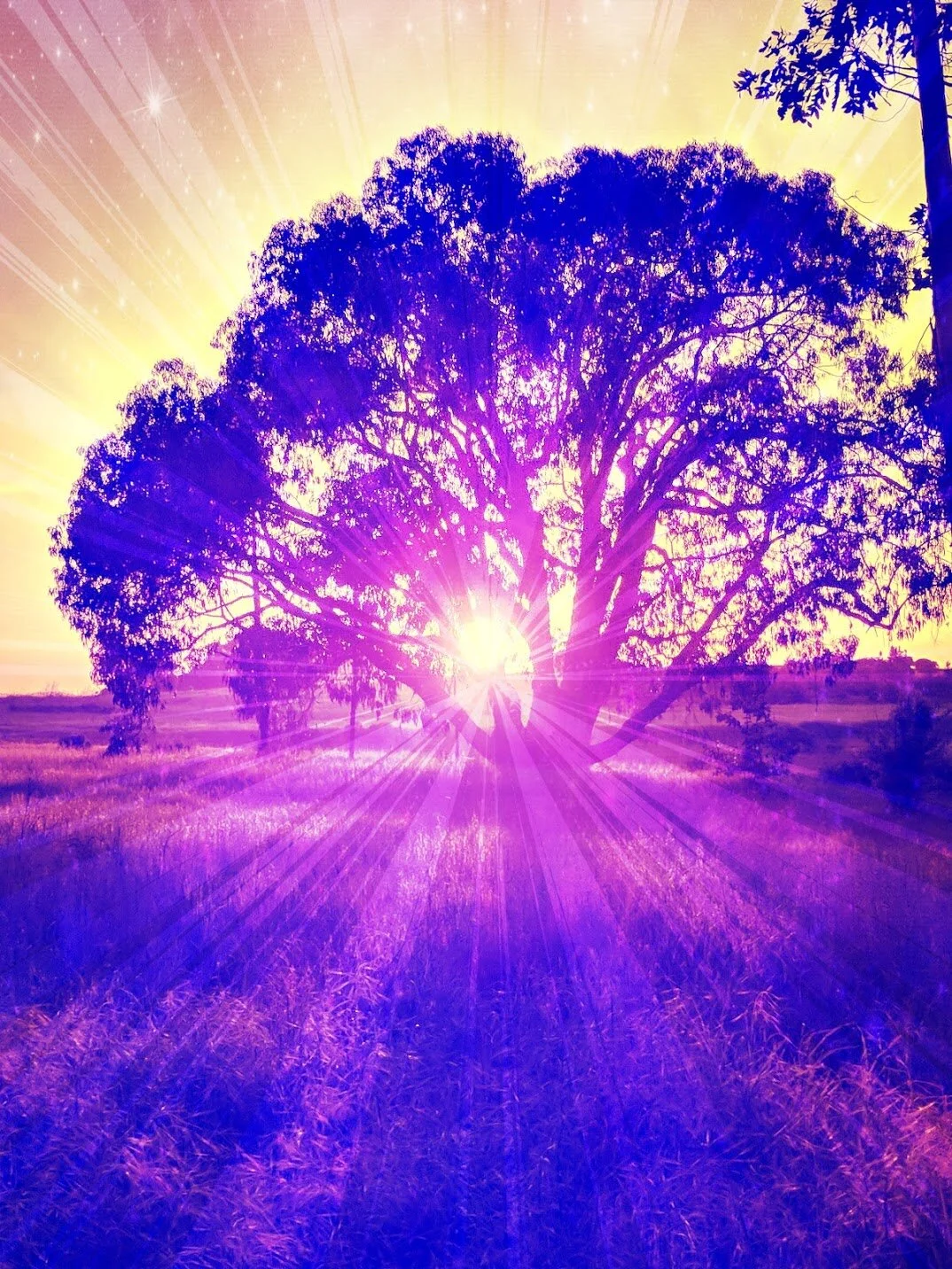 Solar Plexus Sound Journey (10min)