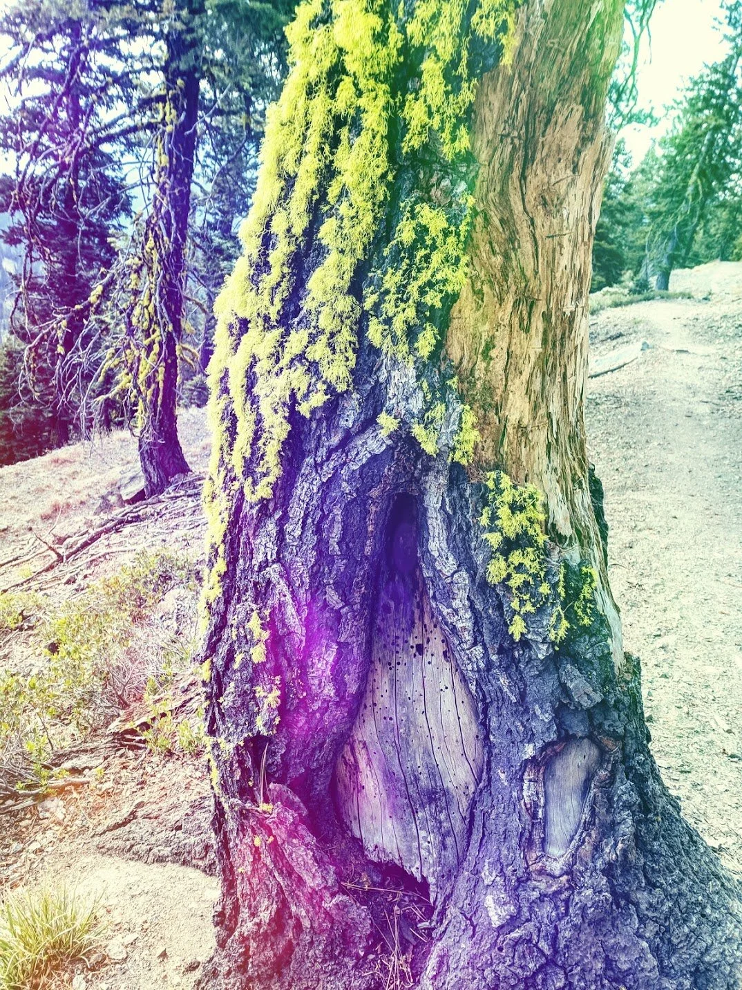 Root Chakra Sound Journey (10min)