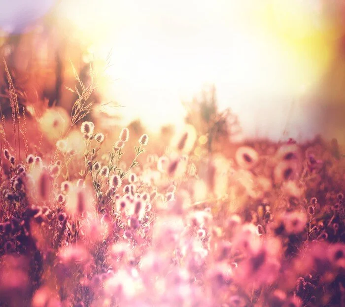 Crown Chakra Sound Journey (Guided - 30min)