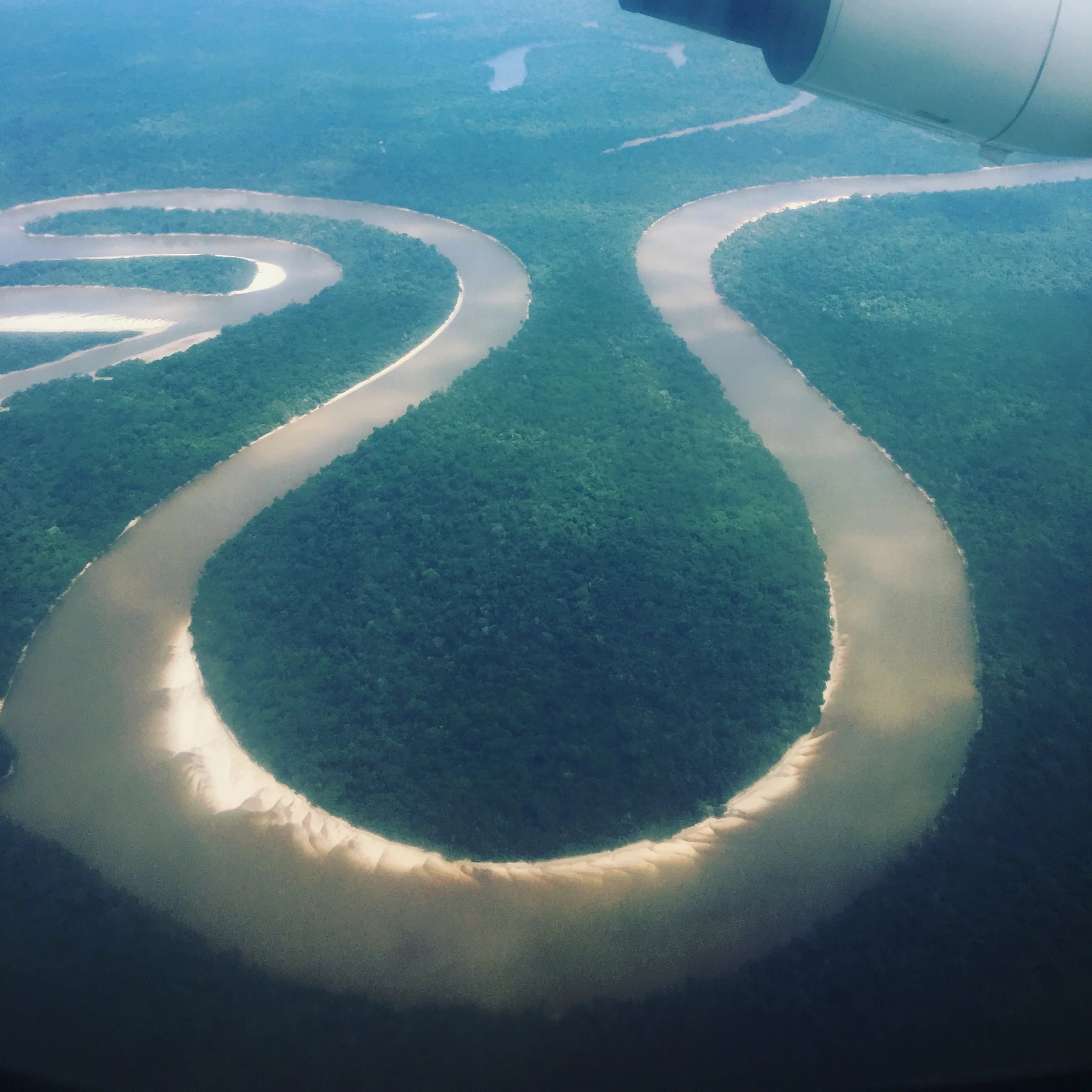 Tarantulas, pink dolphins and money talk in the Amazon.