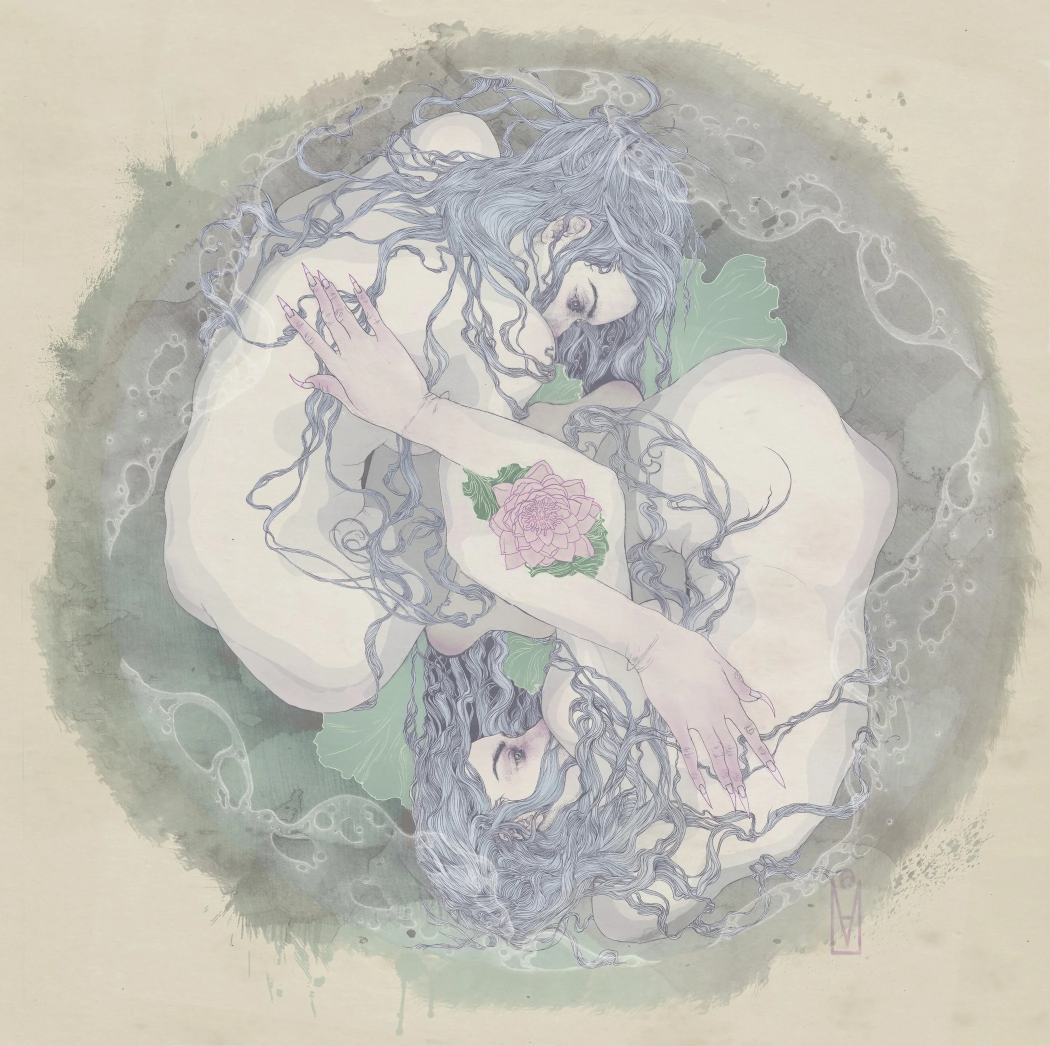 lotus internet copy.jpeg