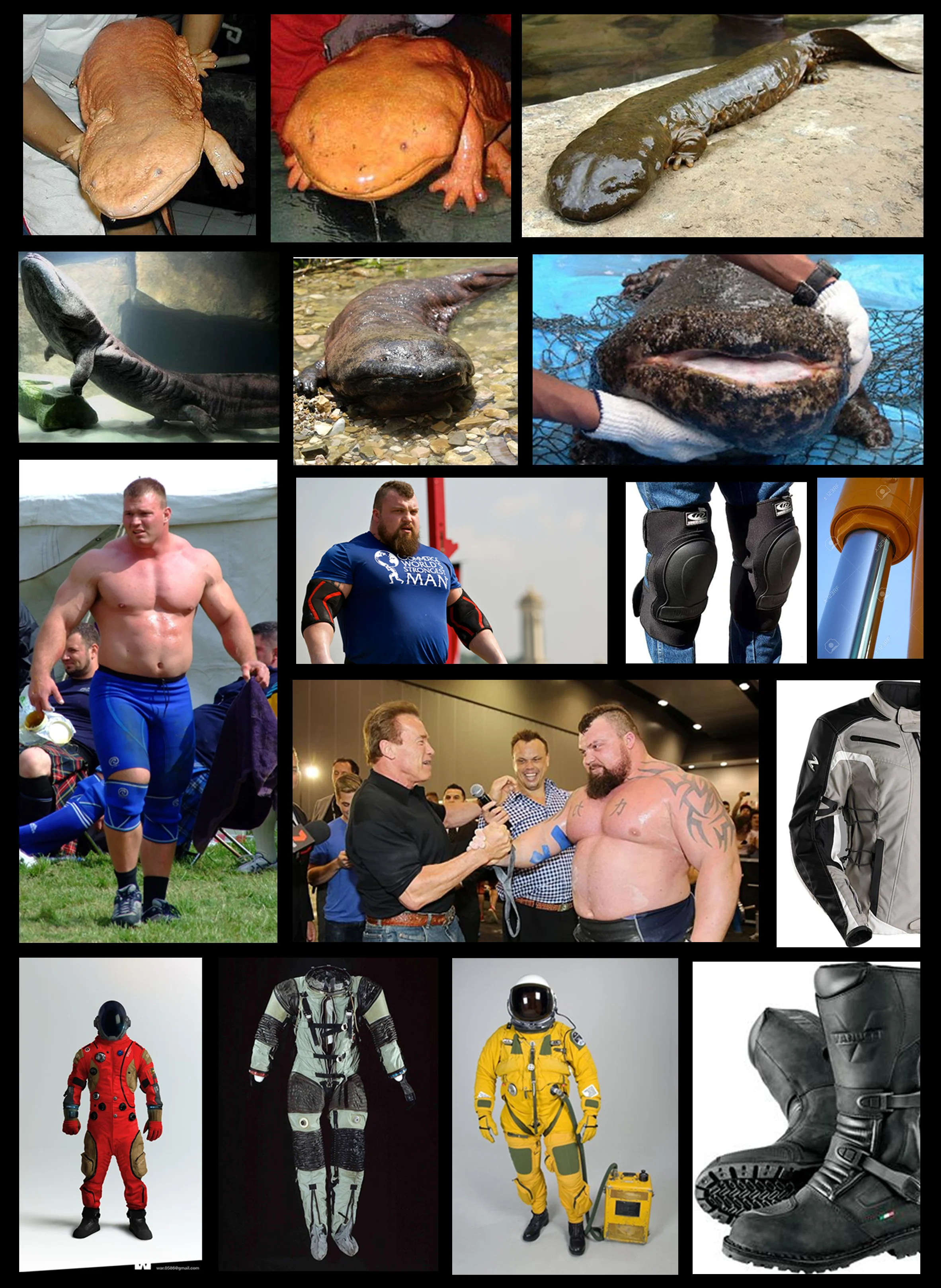 collage.jpg