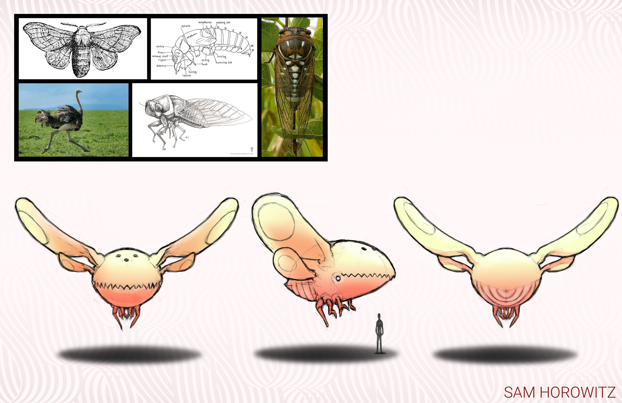 moth page.jpg