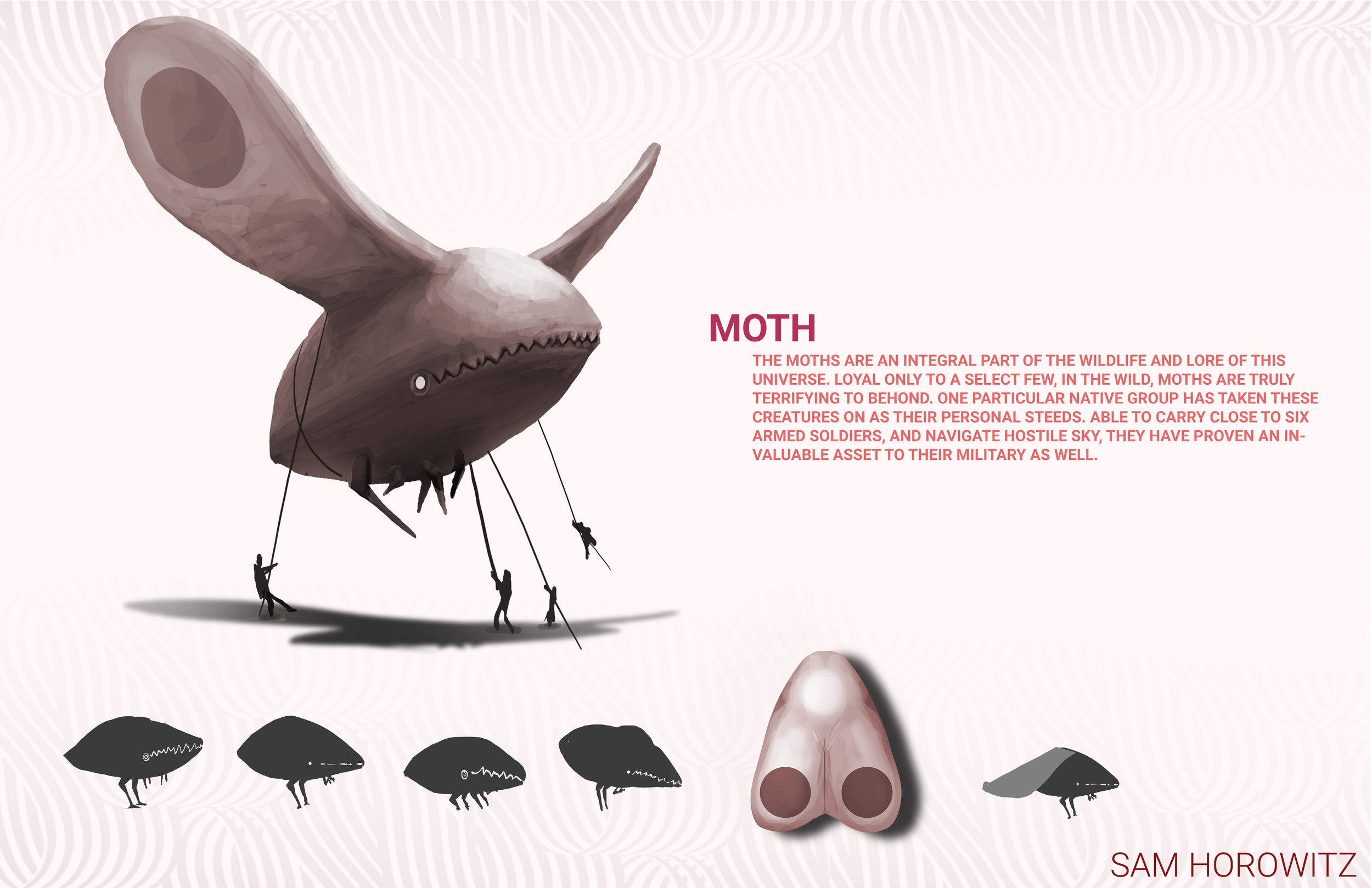 moth page.jpg