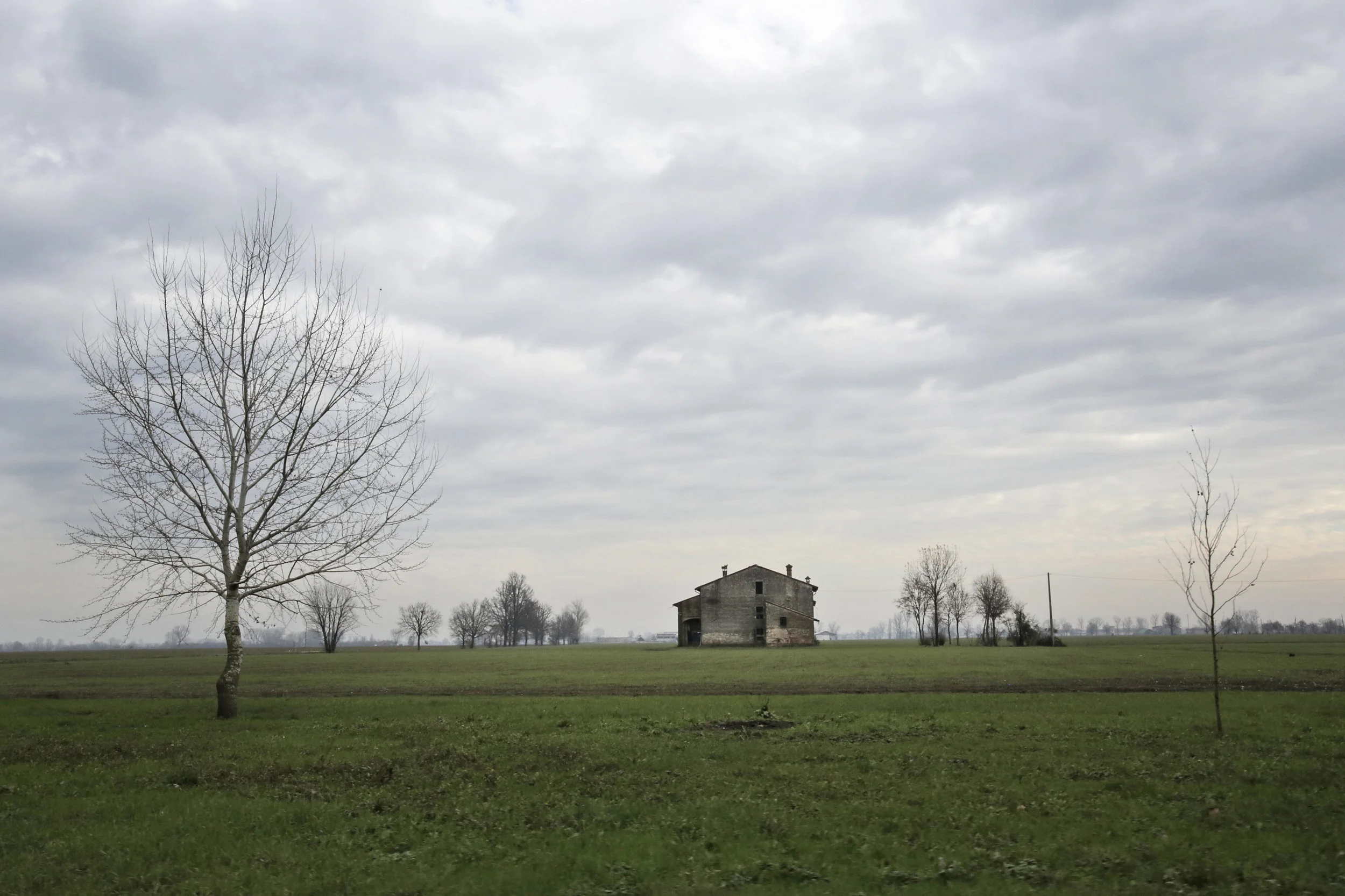 Landscape01.jpg
