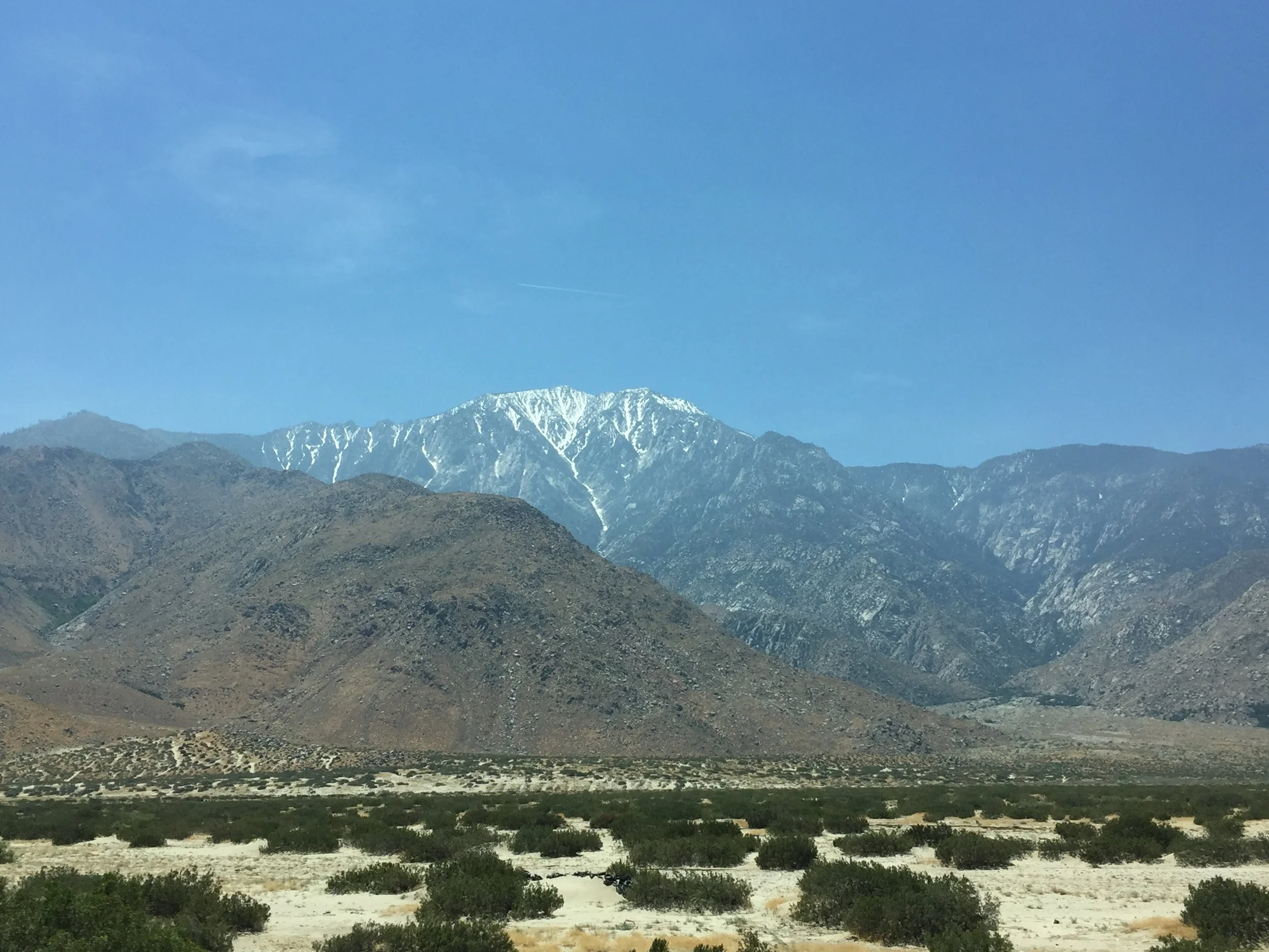 IMG_5970.jpg