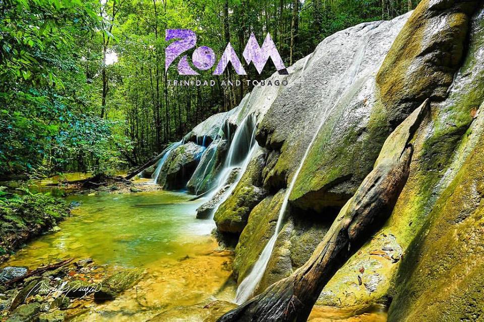 Roam 2.jpg