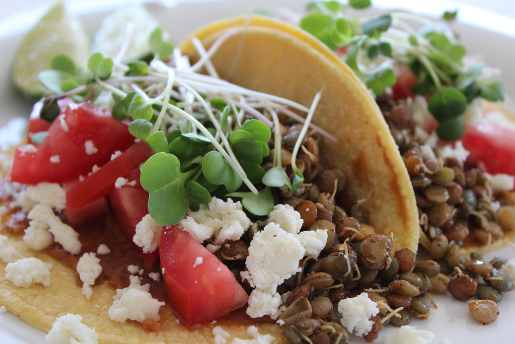 If you’re trying to eat less red meat and more plants, but still get enough protein, then lentils are a must-have staple in your kitchen! Simply marinate the sprouted lentils like you would taco meat, and top with diced tomatoes and radish microgreens, an elegant and fresh twist to the classic taco toppings of salsa and thinly sliced radishes.