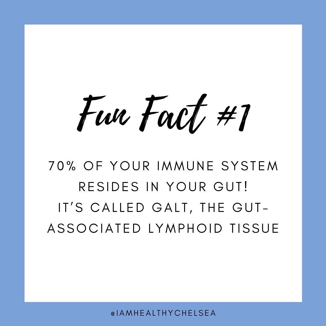 I&rsquo;m so excited to share with you WHY gut health is the KEY to you feeling happier, healthier, more energized, and less stressed 🙌

🤔Which of these facts surprised you the most? Comment below with 1, 2, or 3!

🎉Have you saved your spot for my